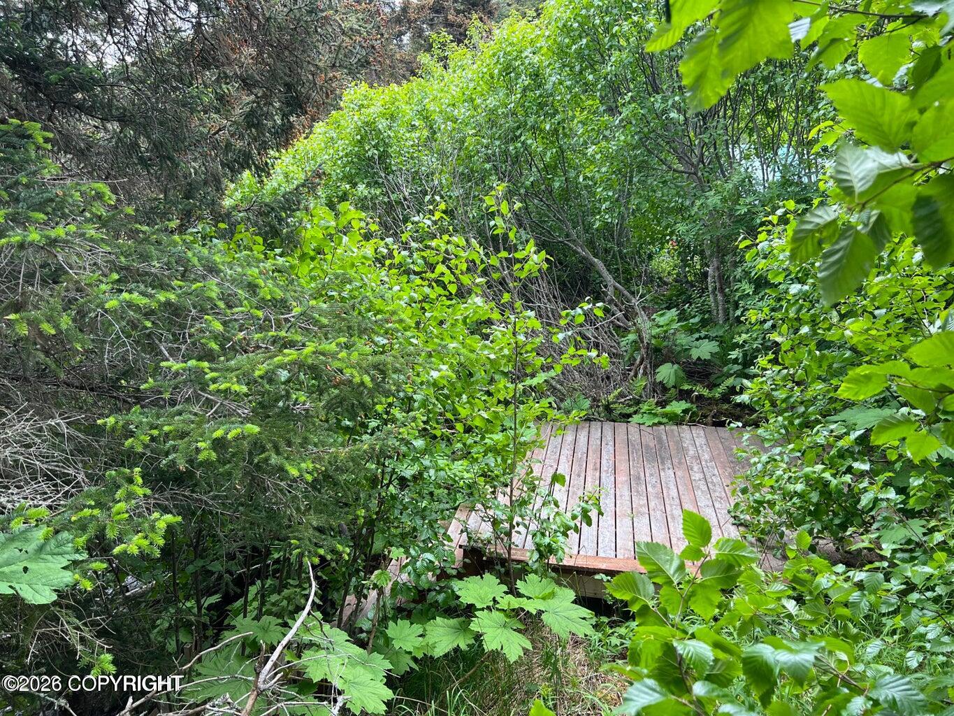 Tract 3 Peterson Bay Property Photo 8