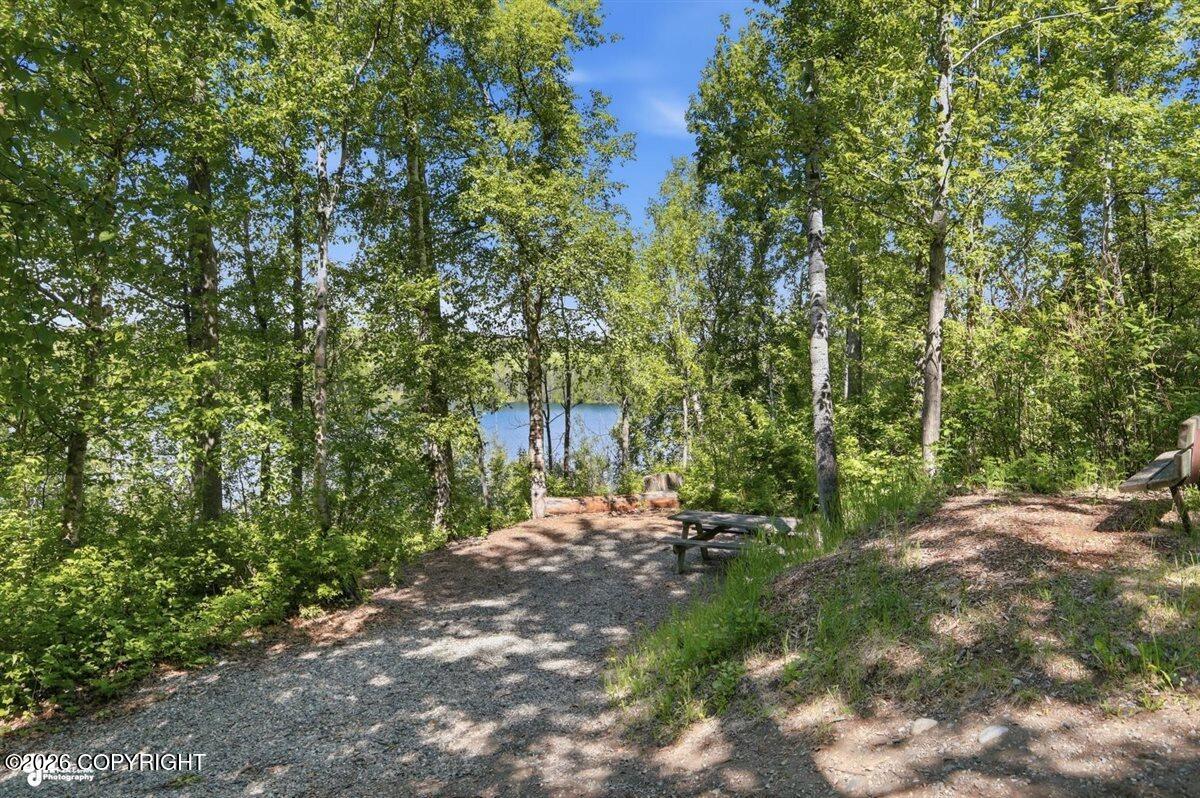 4466 S Glenn Highway Property Photo 88