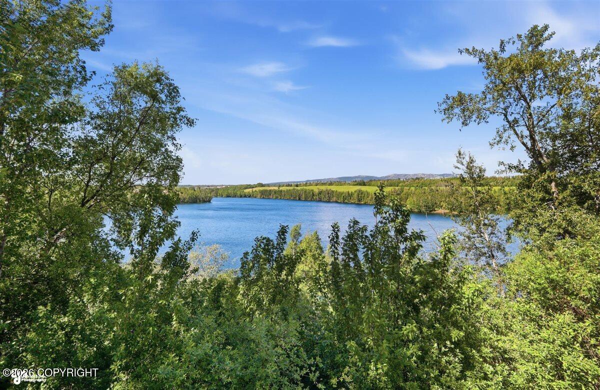 4466 S Glenn Highway Property Photo 95