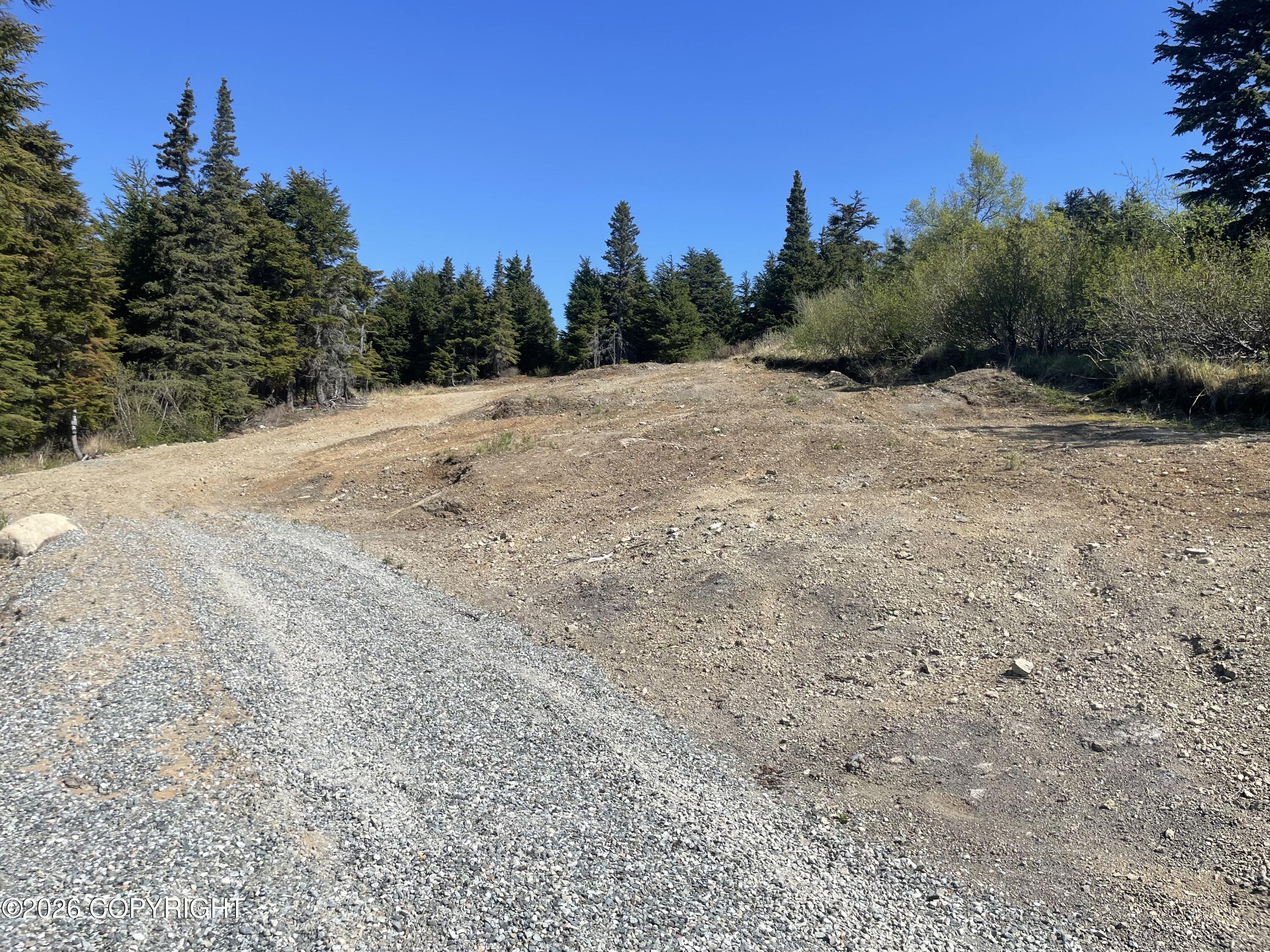 L22 Lost Horizon Drive Property Photo 2