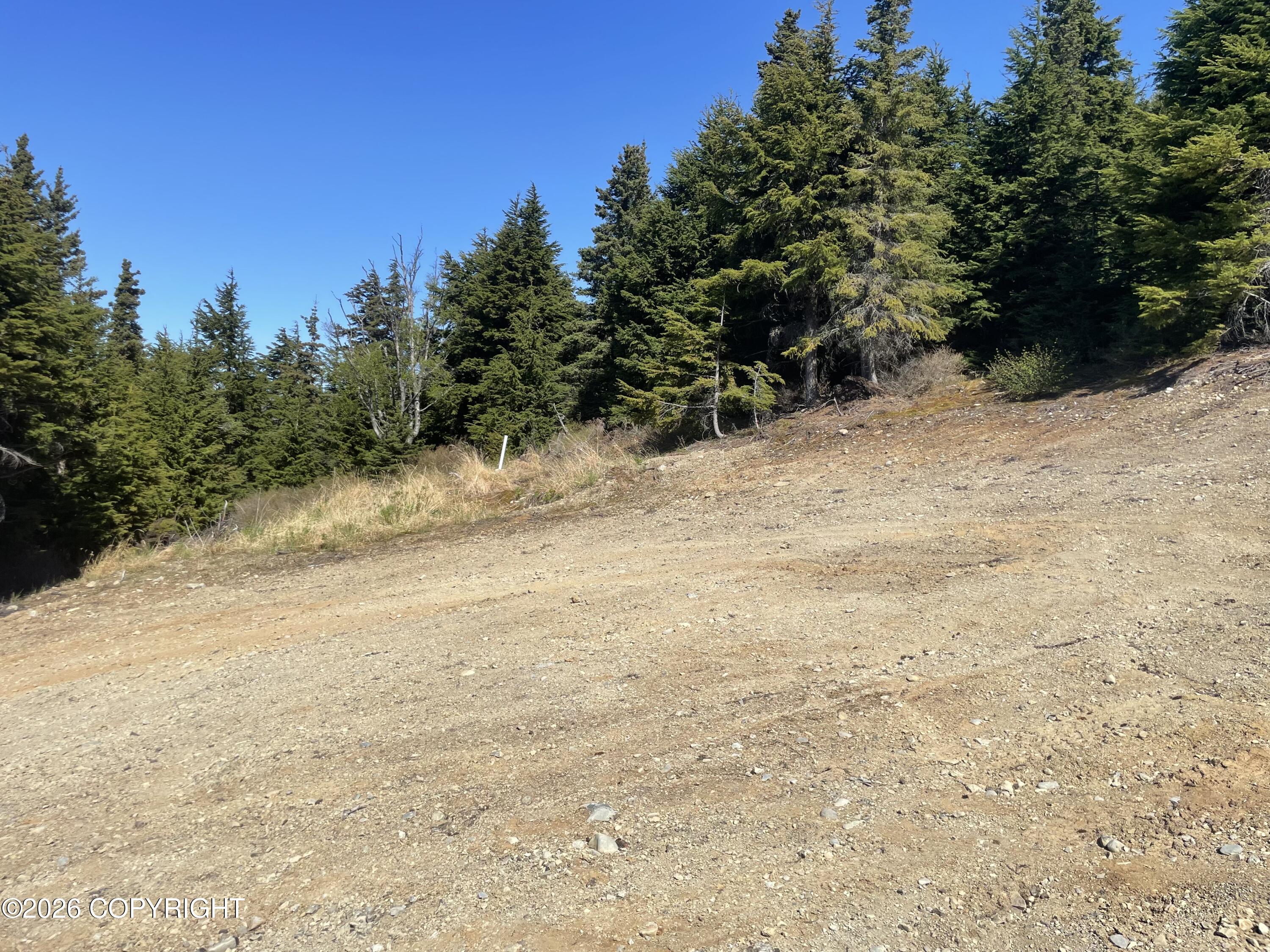 L22 Lost Horizon Drive Property Photo 6