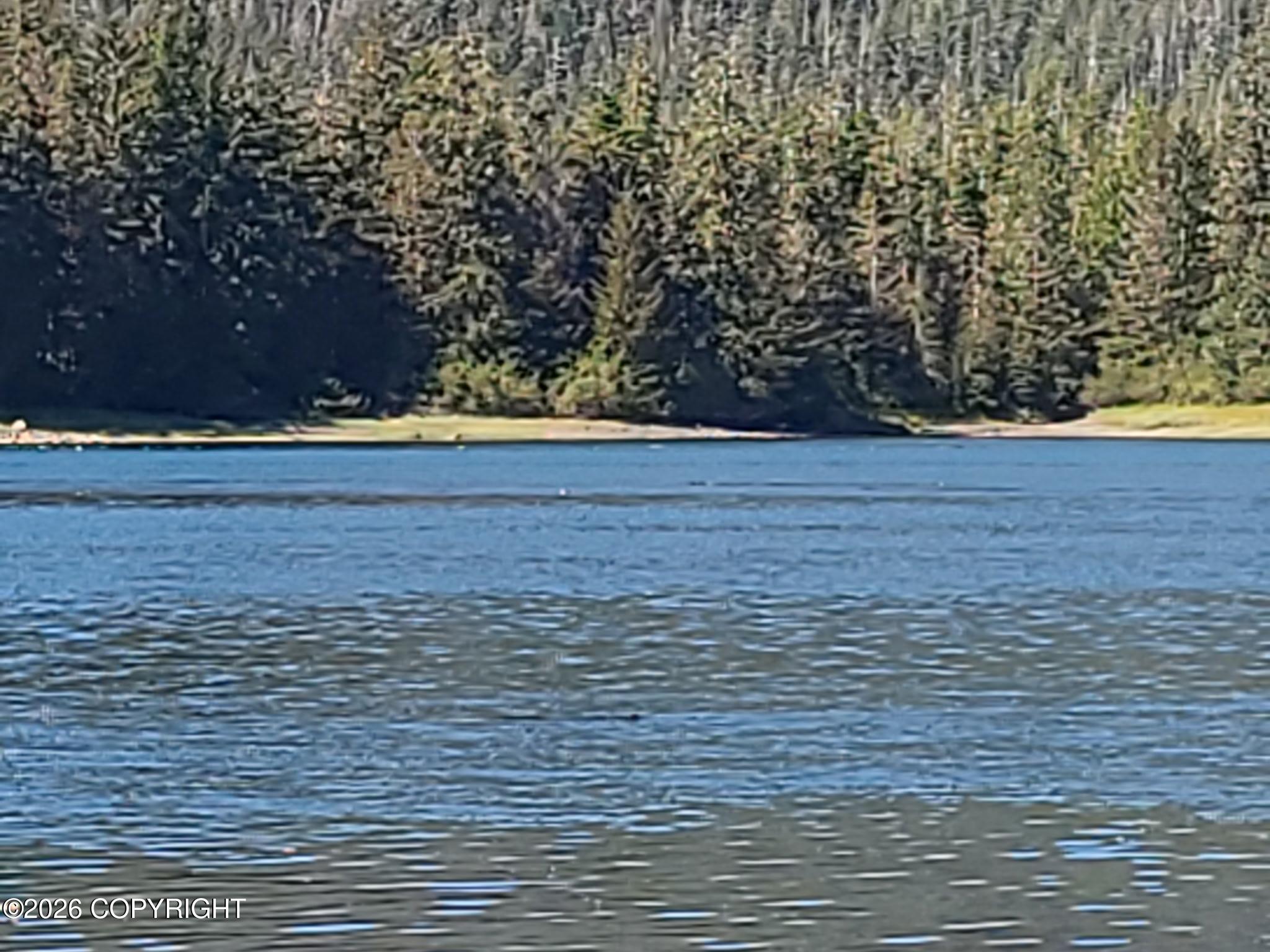 Lot 12 Wrangell Narrows Property Photo 1