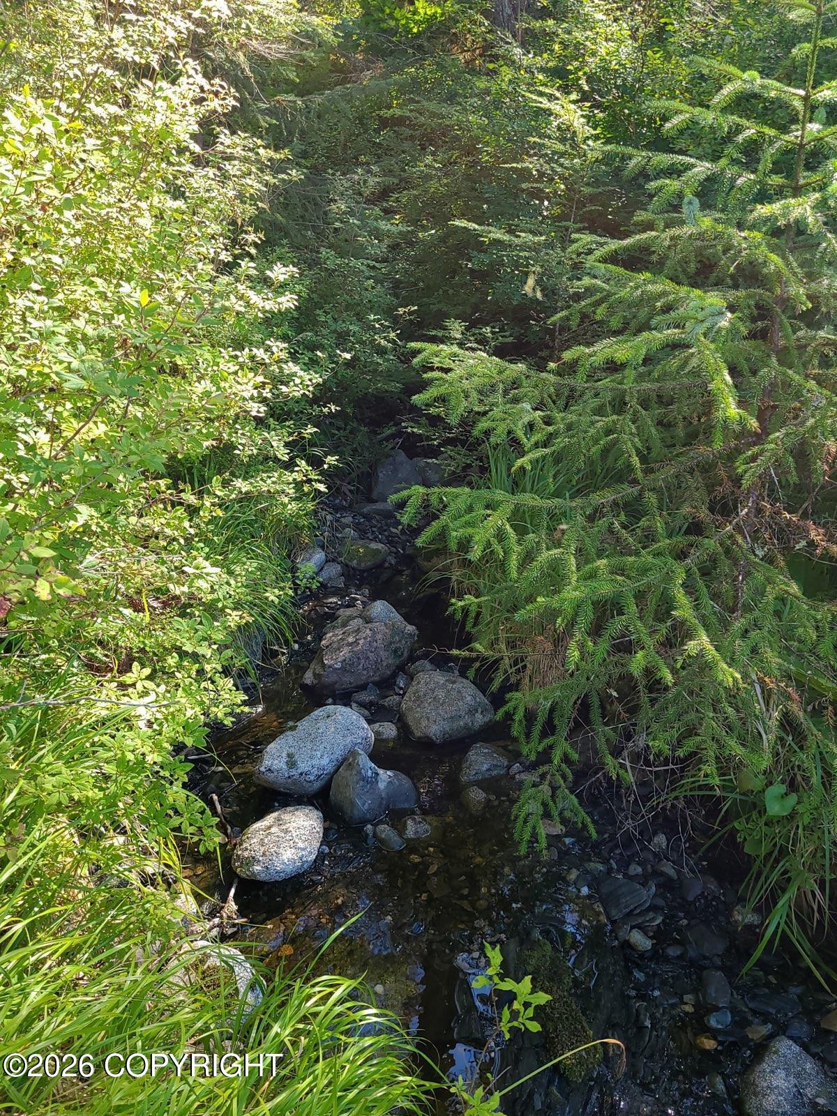 Lot 12 Wrangell Narrows Property Photo 5