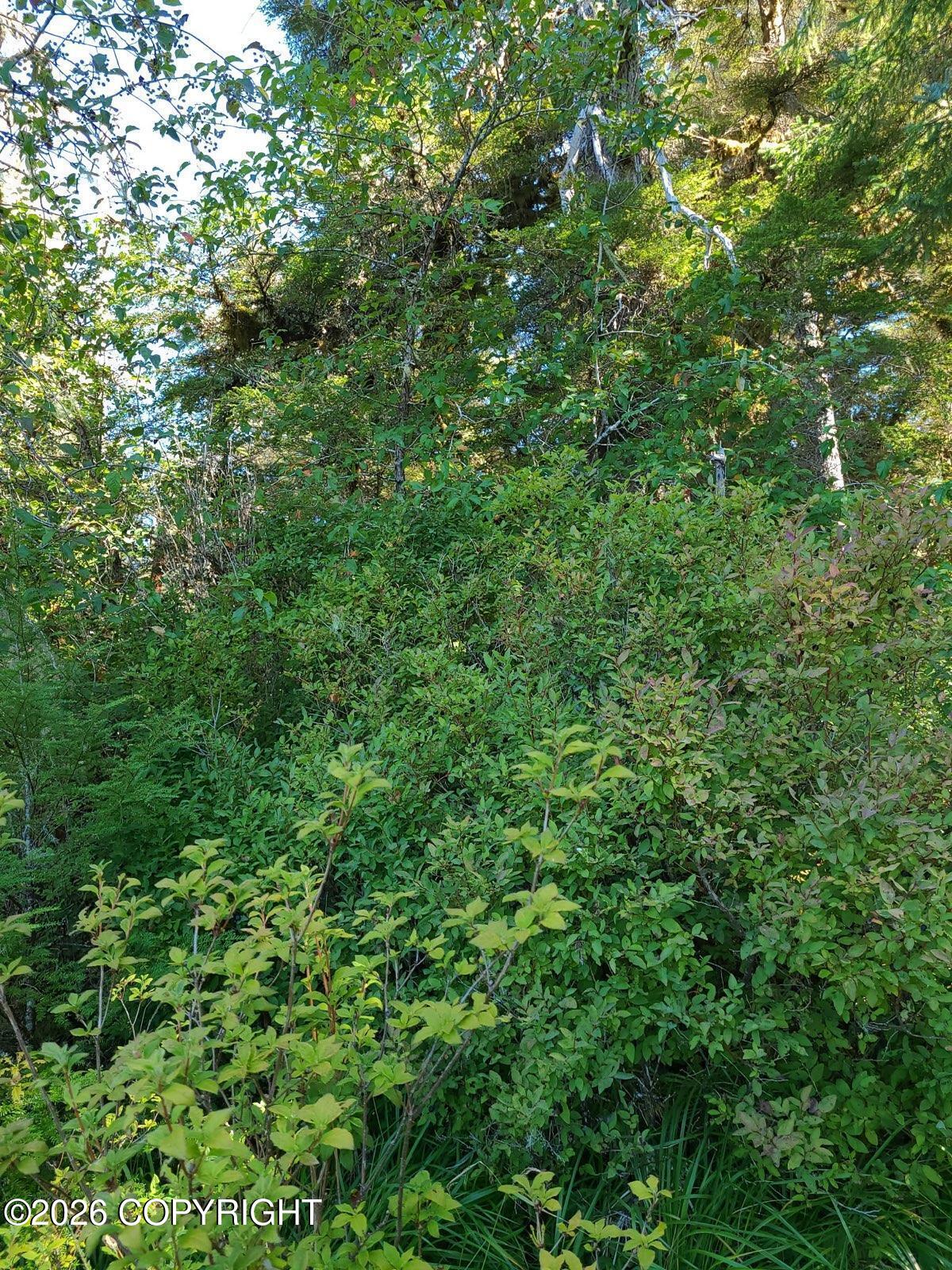 Lot 12 Wrangell Narrows Property Photo 6