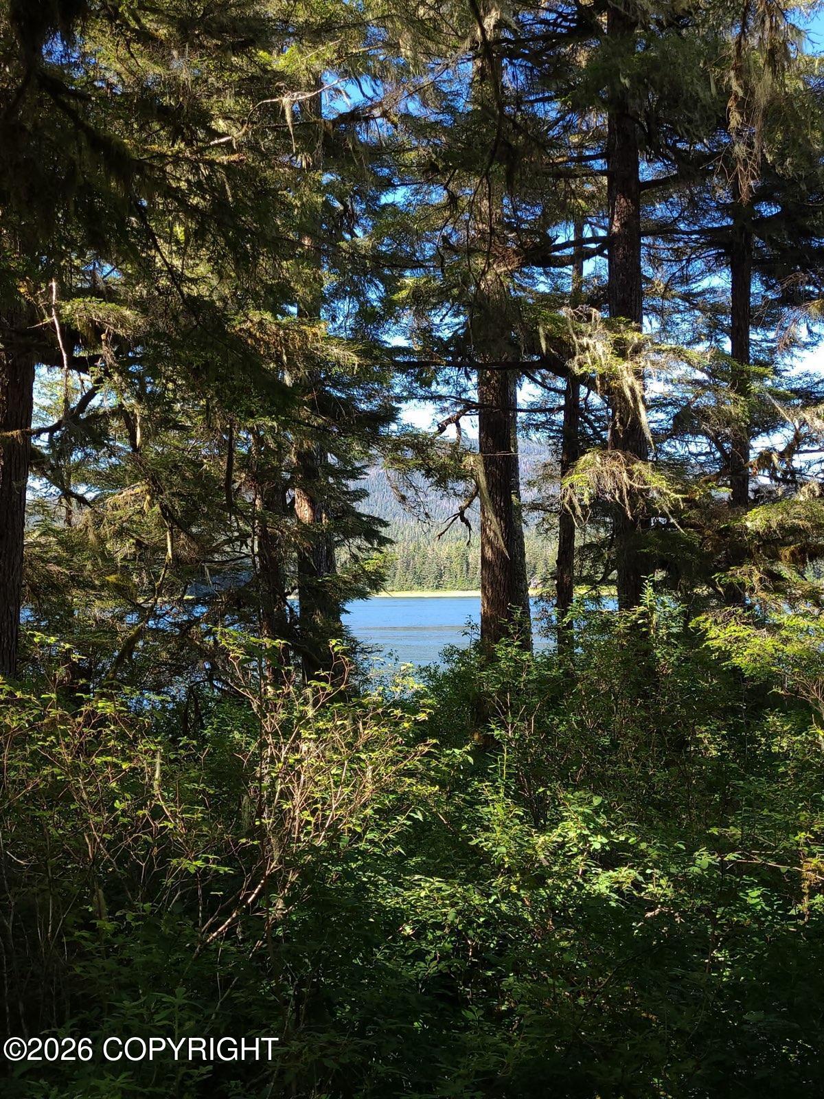 Lot 12 Wrangell Narrows Property Photo 9