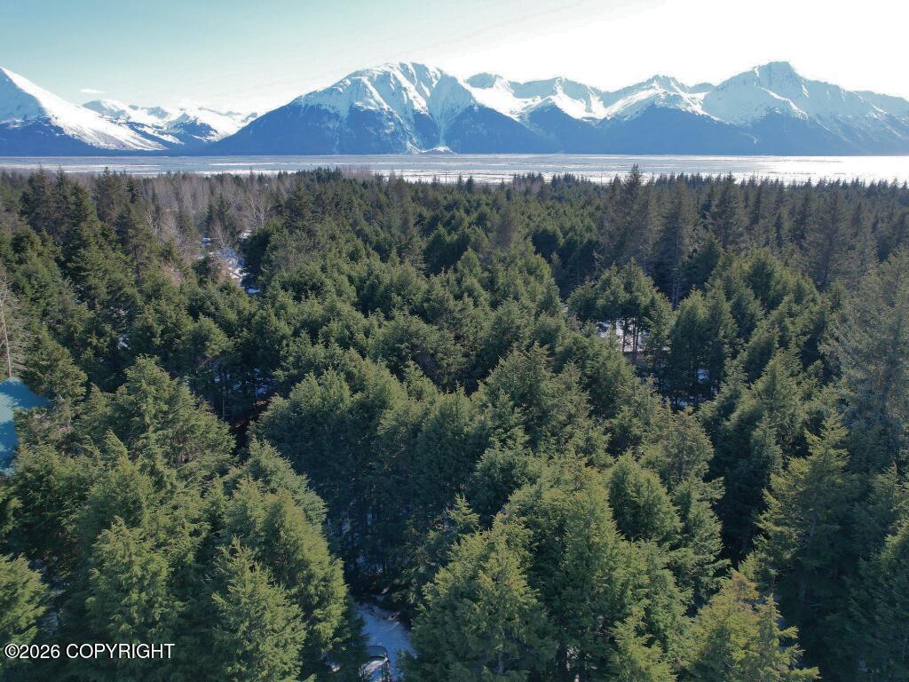 169 Agostino Mine Road Property Photo 1