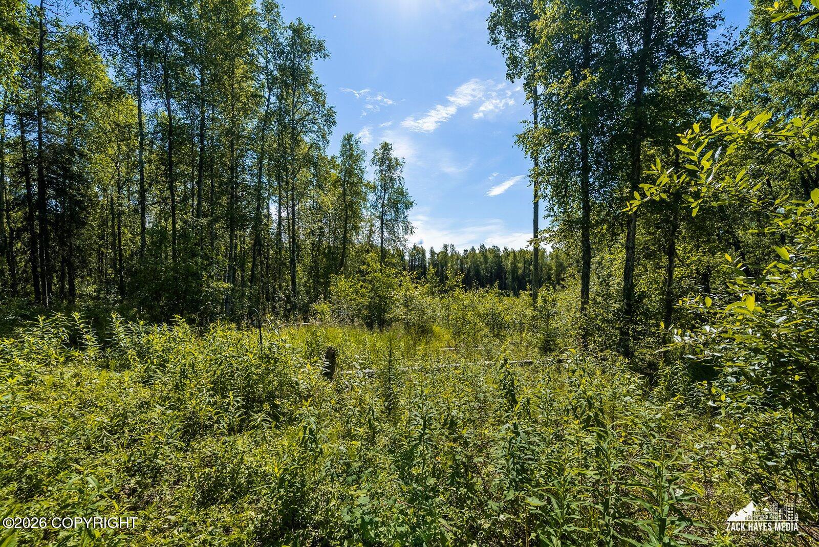 14357 N Stormybrook Circle Property Photo 12