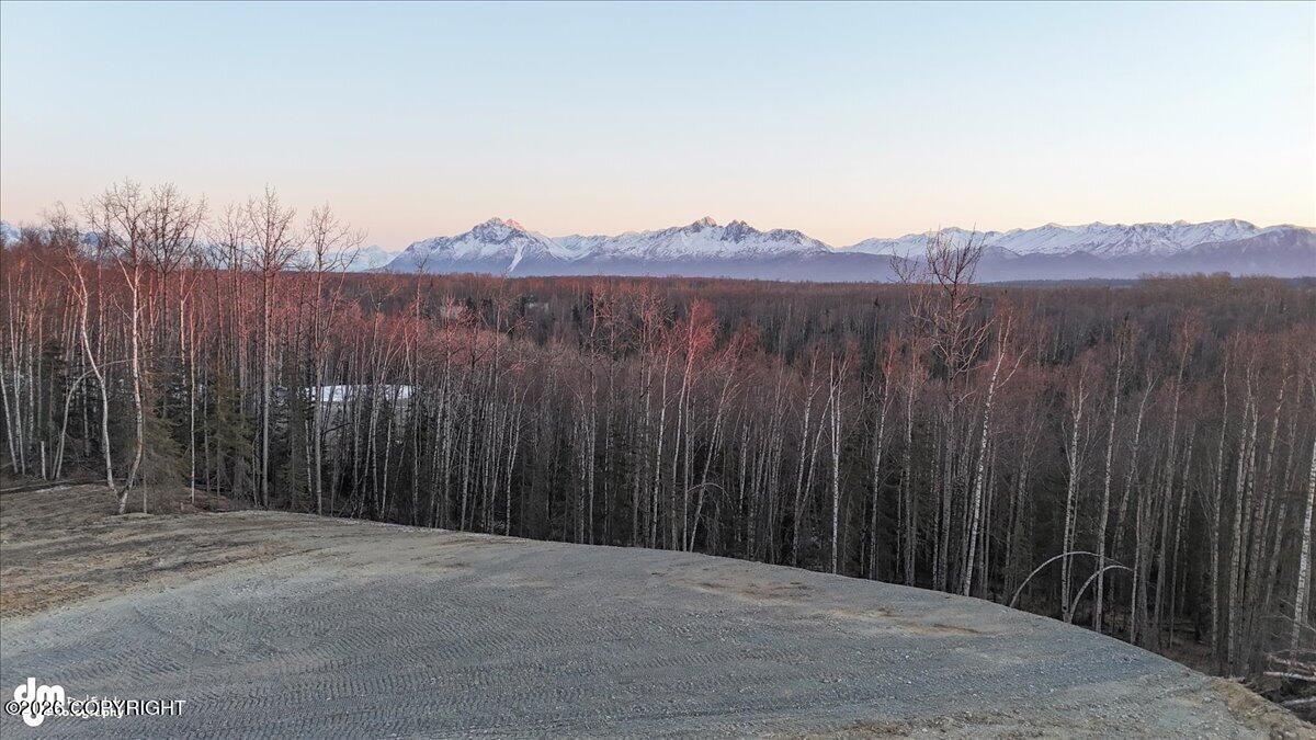 1146 N Leseman Way Property Photo 6