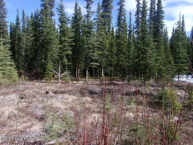 2h Midnight Sun Drive Property Photo 27
