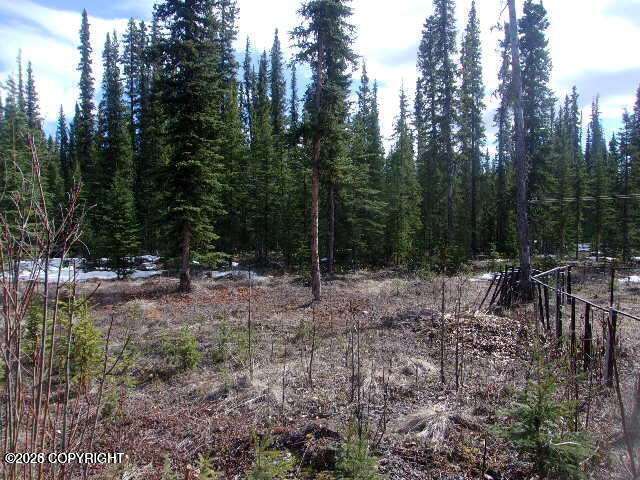 2h Midnight Sun Drive Property Photo 28