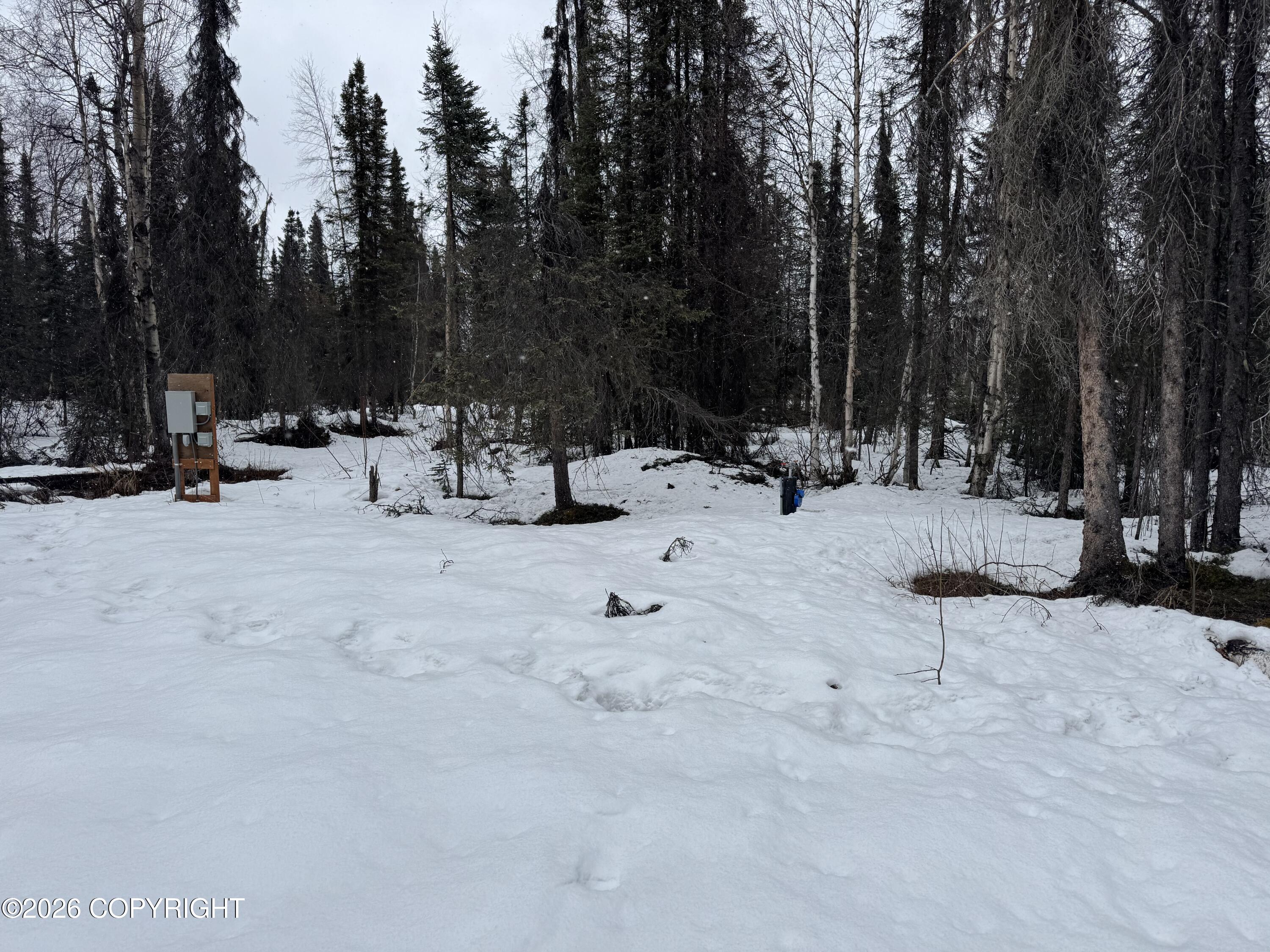 37548 S Talkeetna Spur Road Property Photo 19