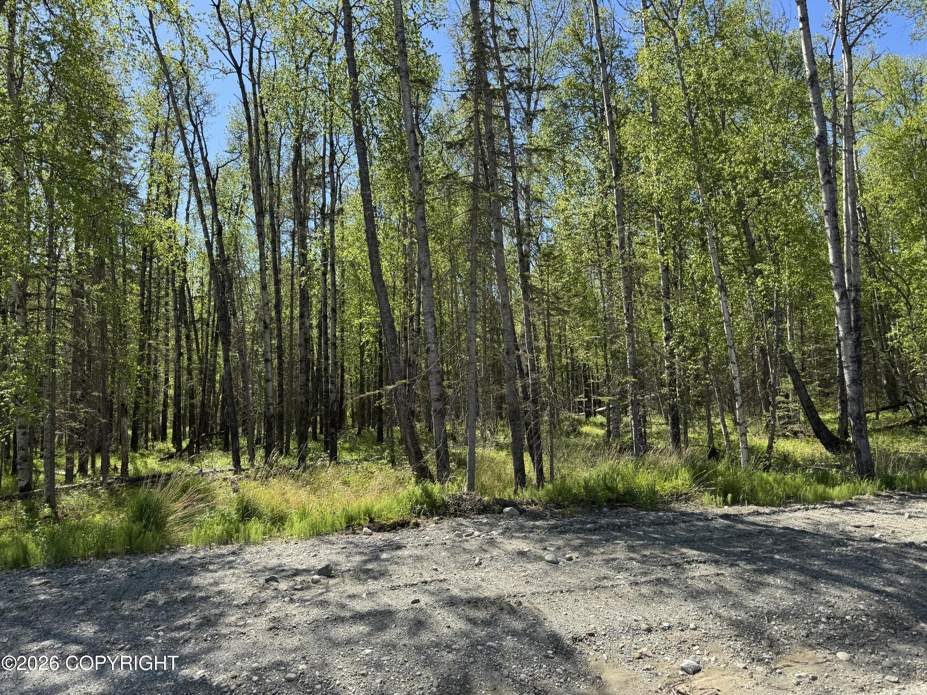 4696 N Baloo Drive Property Photo 7