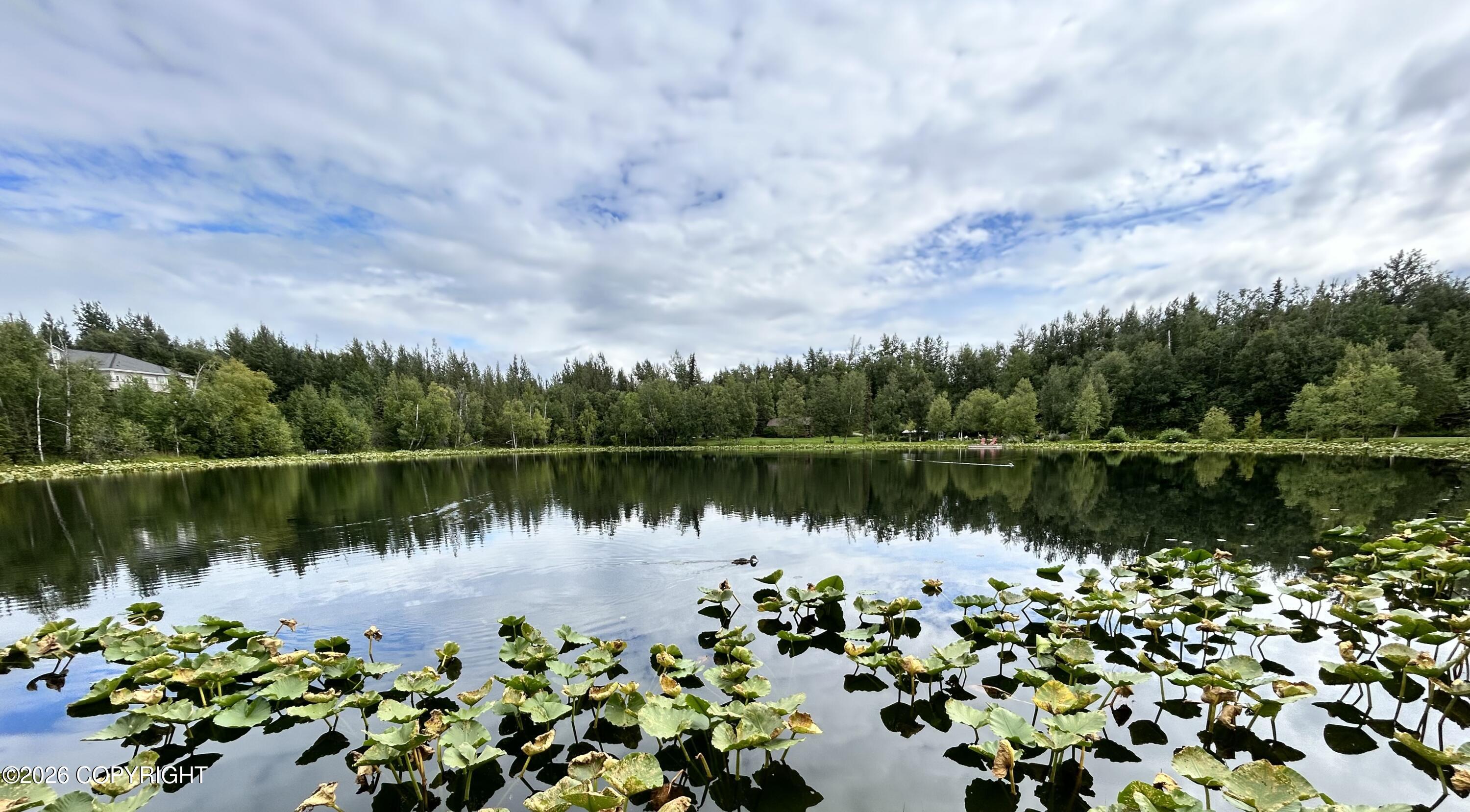 1561 N Landmark Drive Property Photo 39