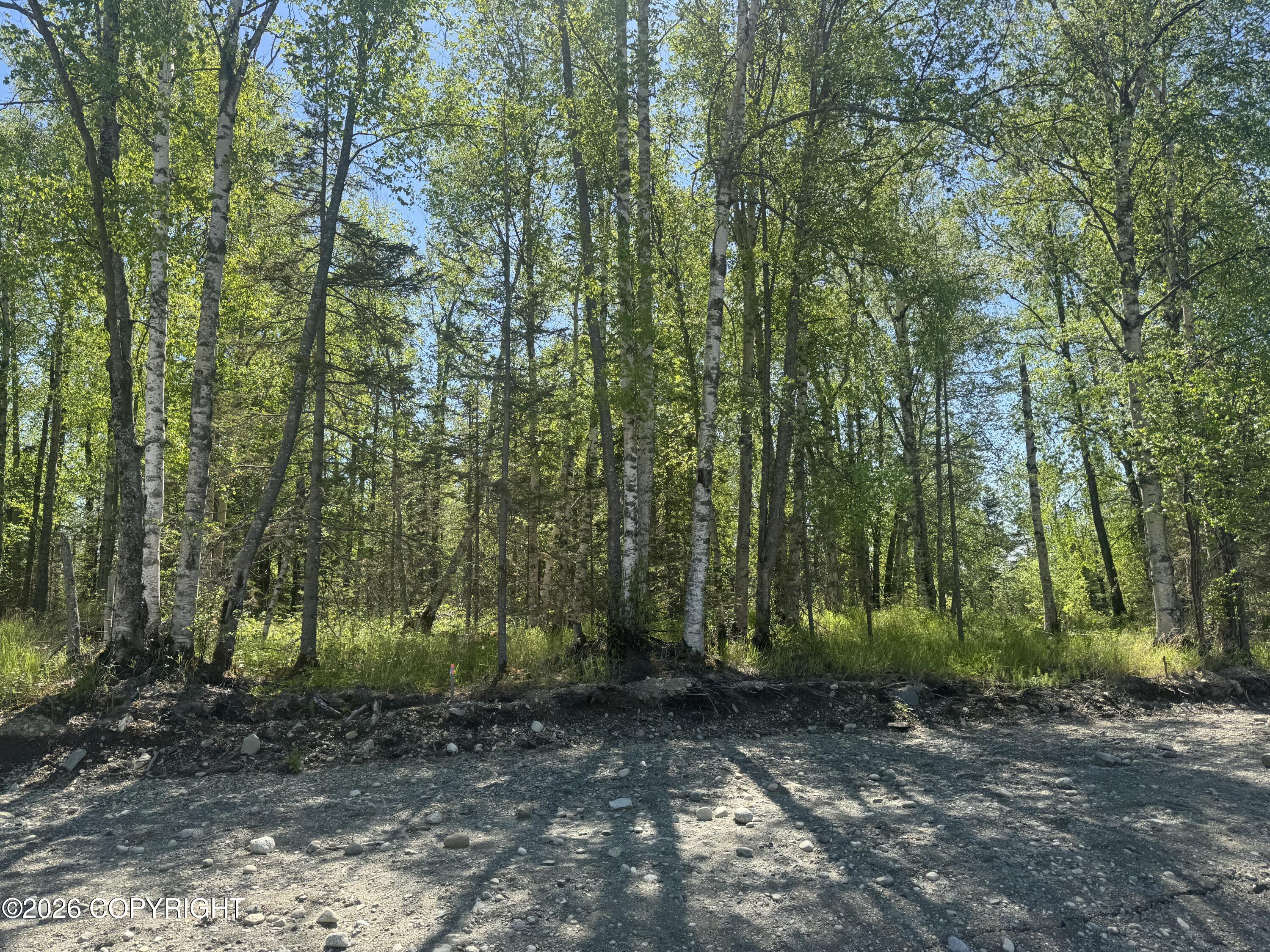 2444 E Ridgeview Drive Property Photo 6