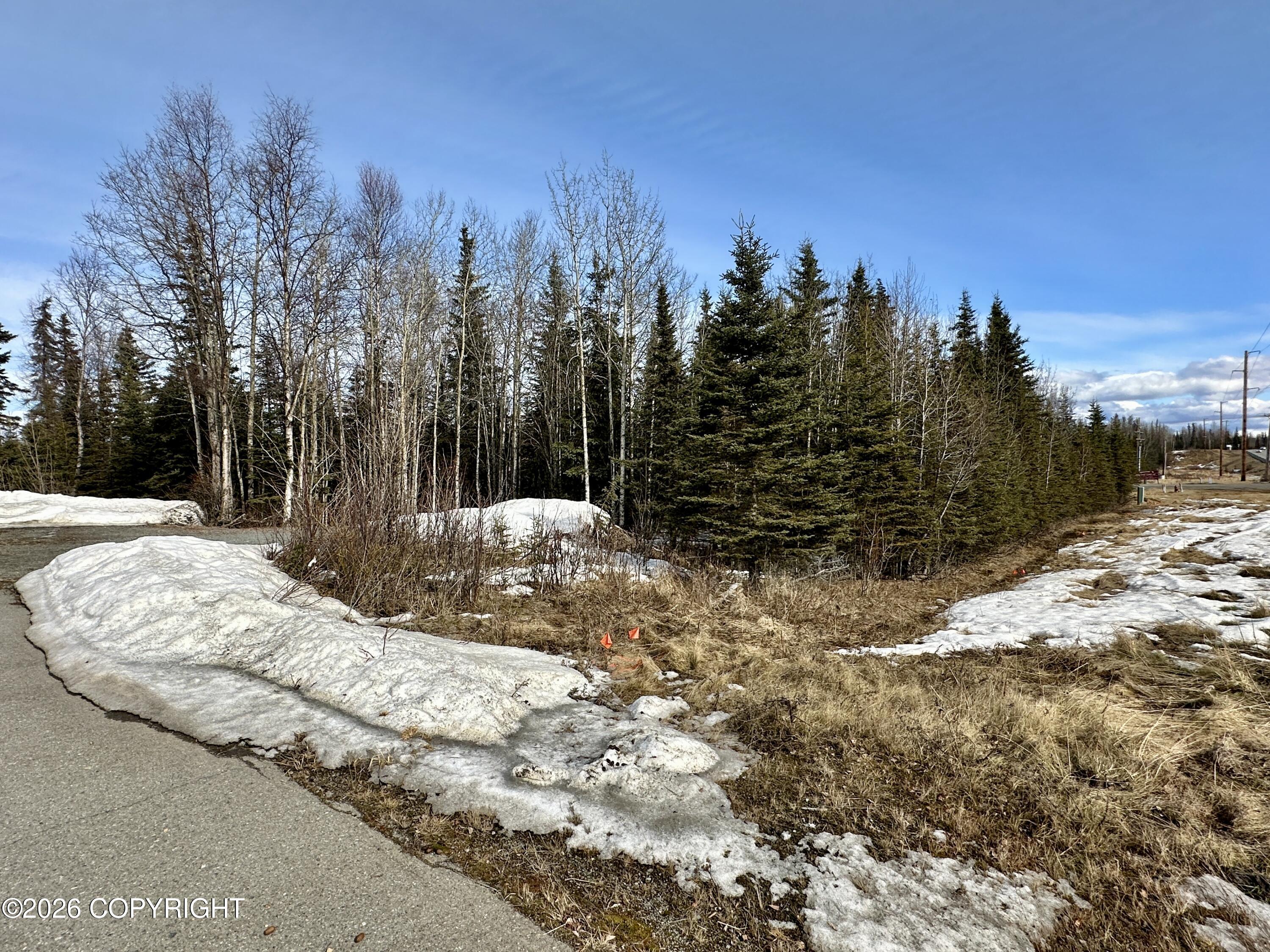 6352 Kenai Spur Highway Property Photo 5