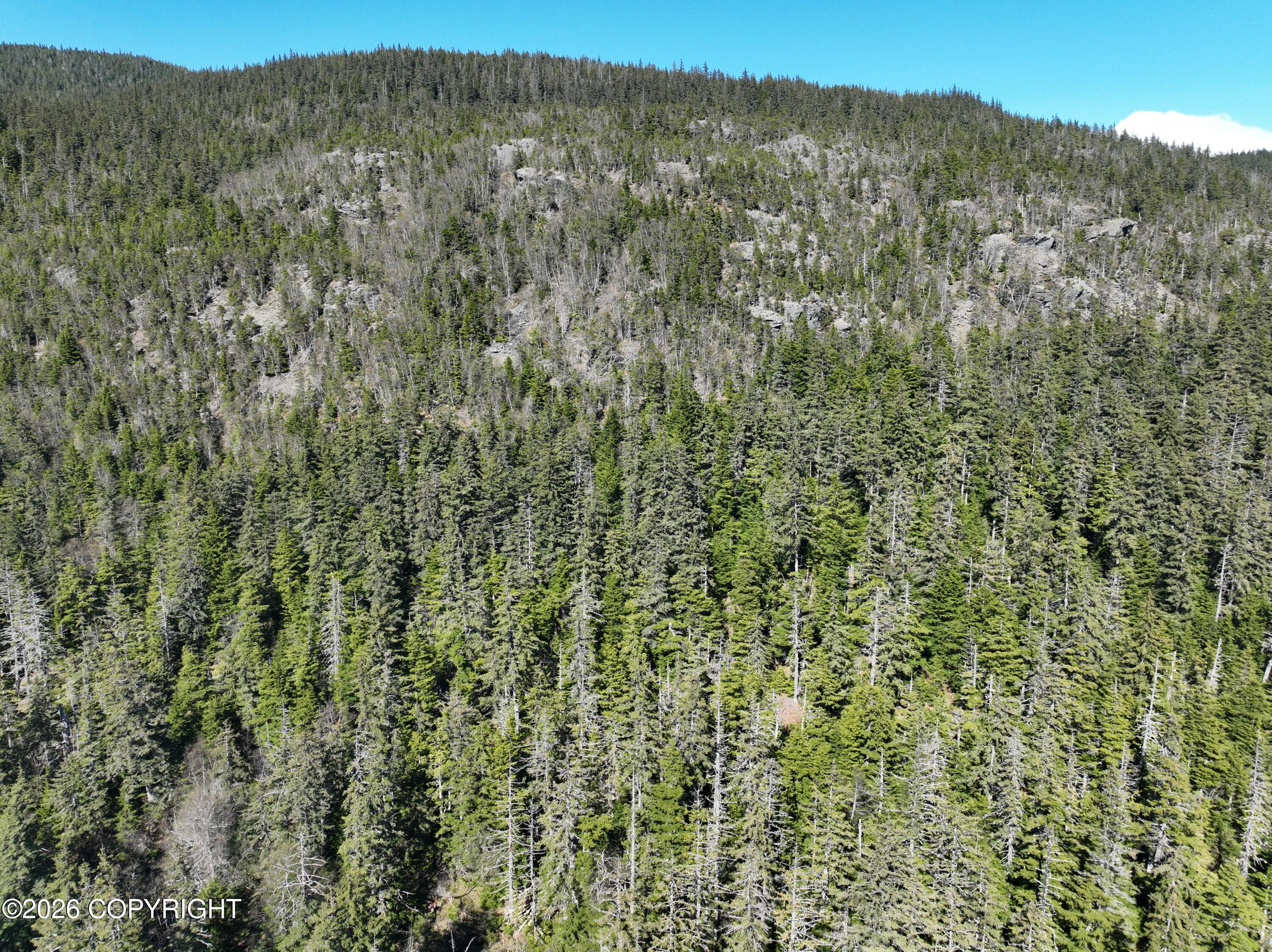 Nhn Mud Bay Property Photo 7