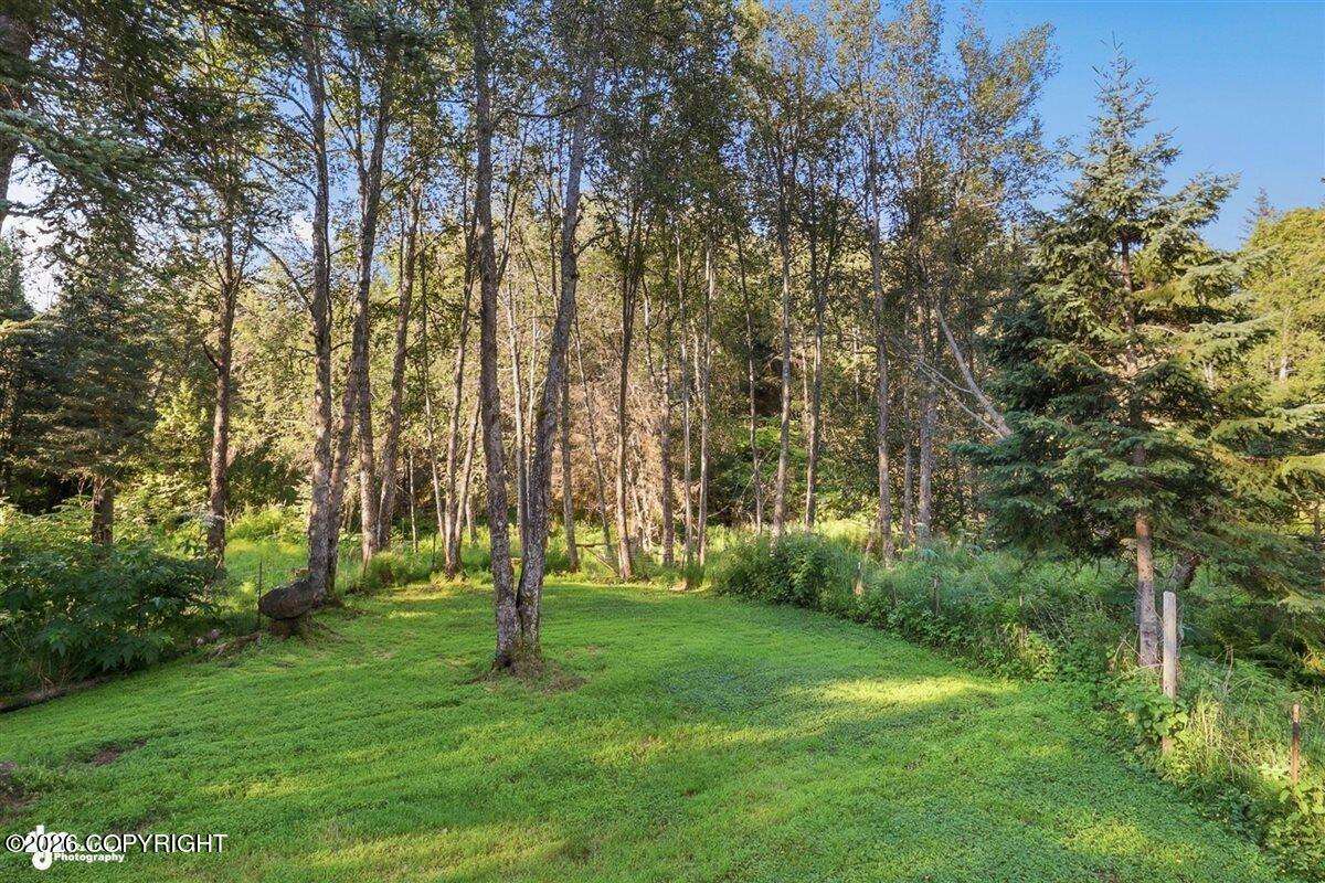 4923 Clover Lane Property Photo 6