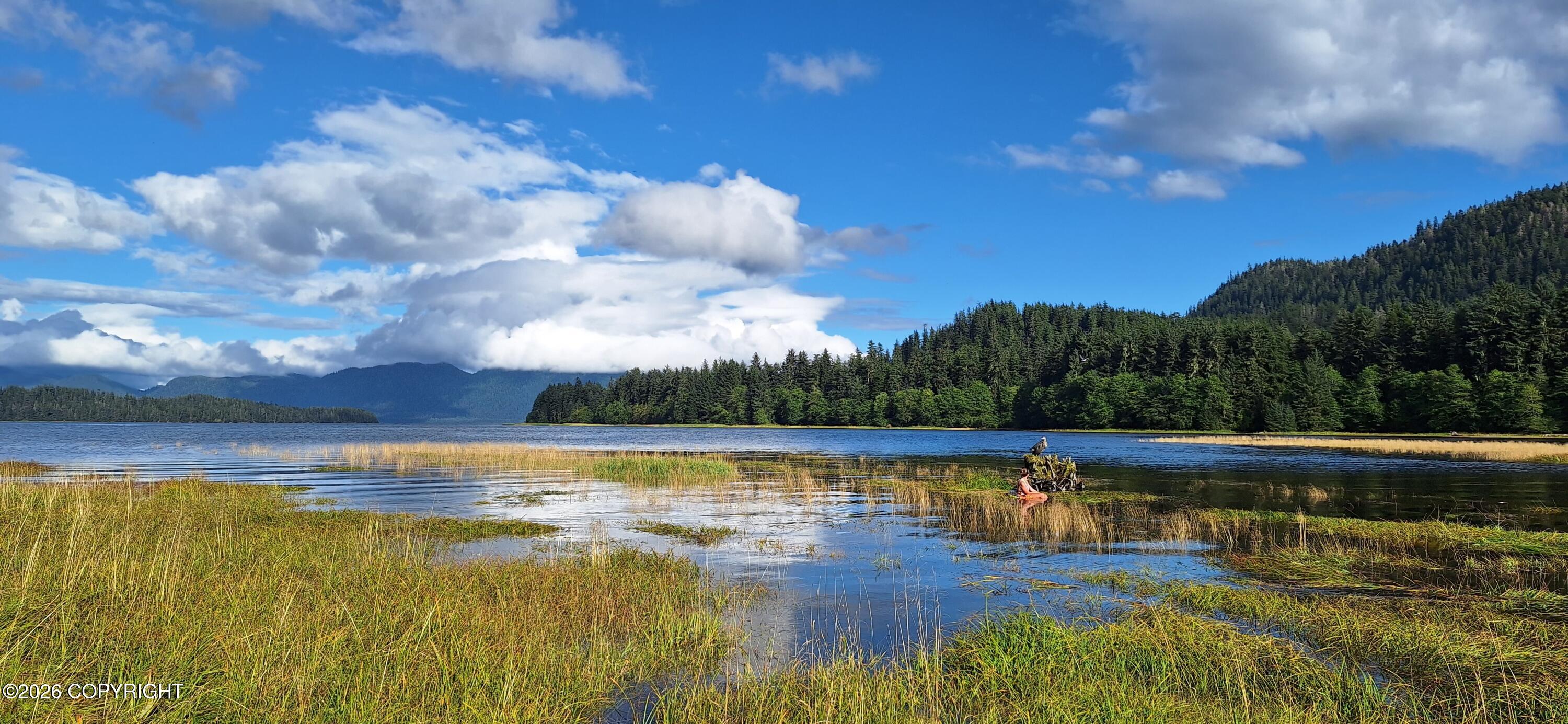 000 No Road Property Photo 9