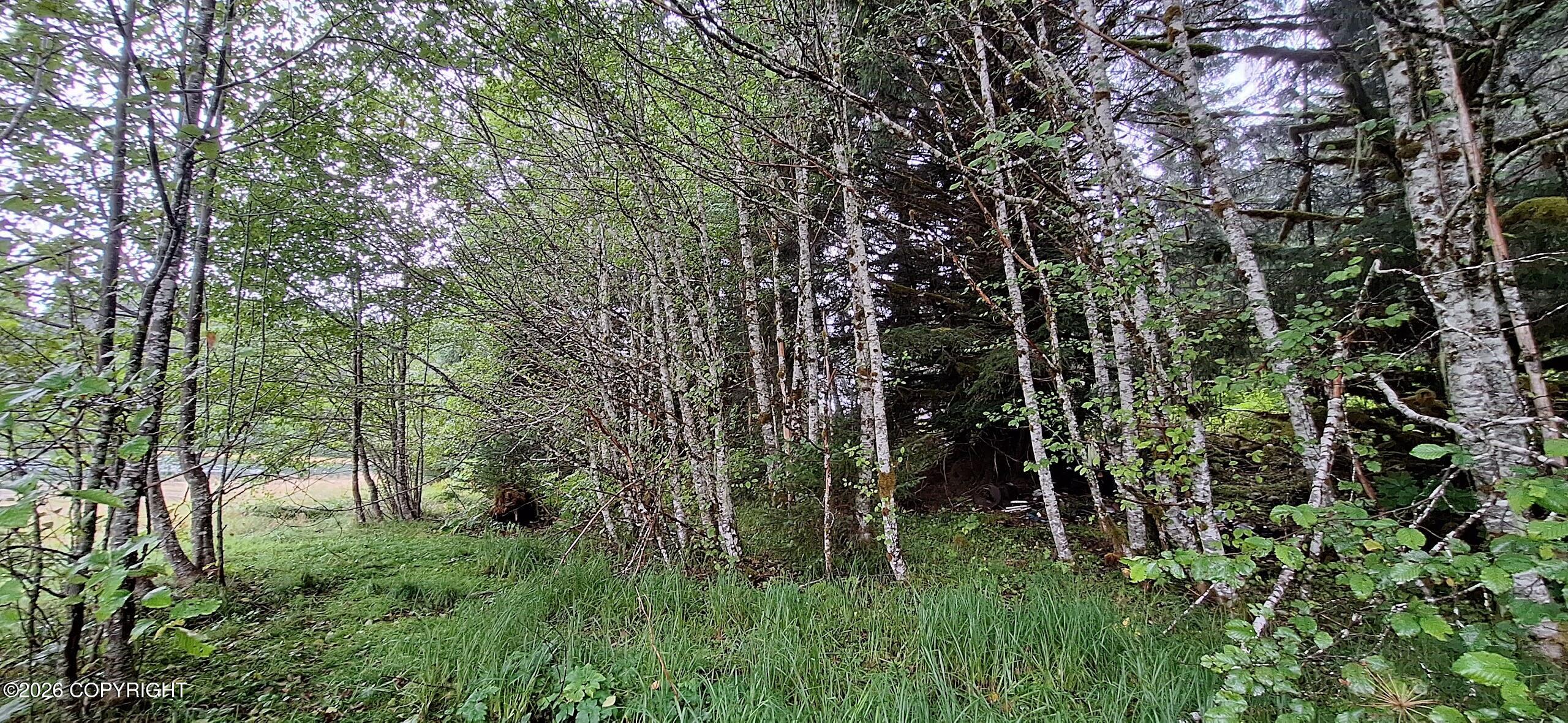 000 No Road Property Photo 21
