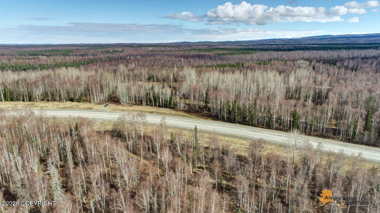21350 W Parks Highway Property Photo 16