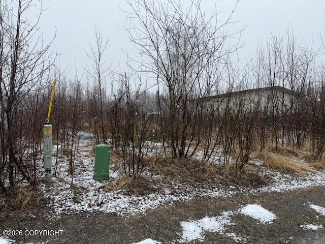 3367 W Coghlan Circle Property Photo 3