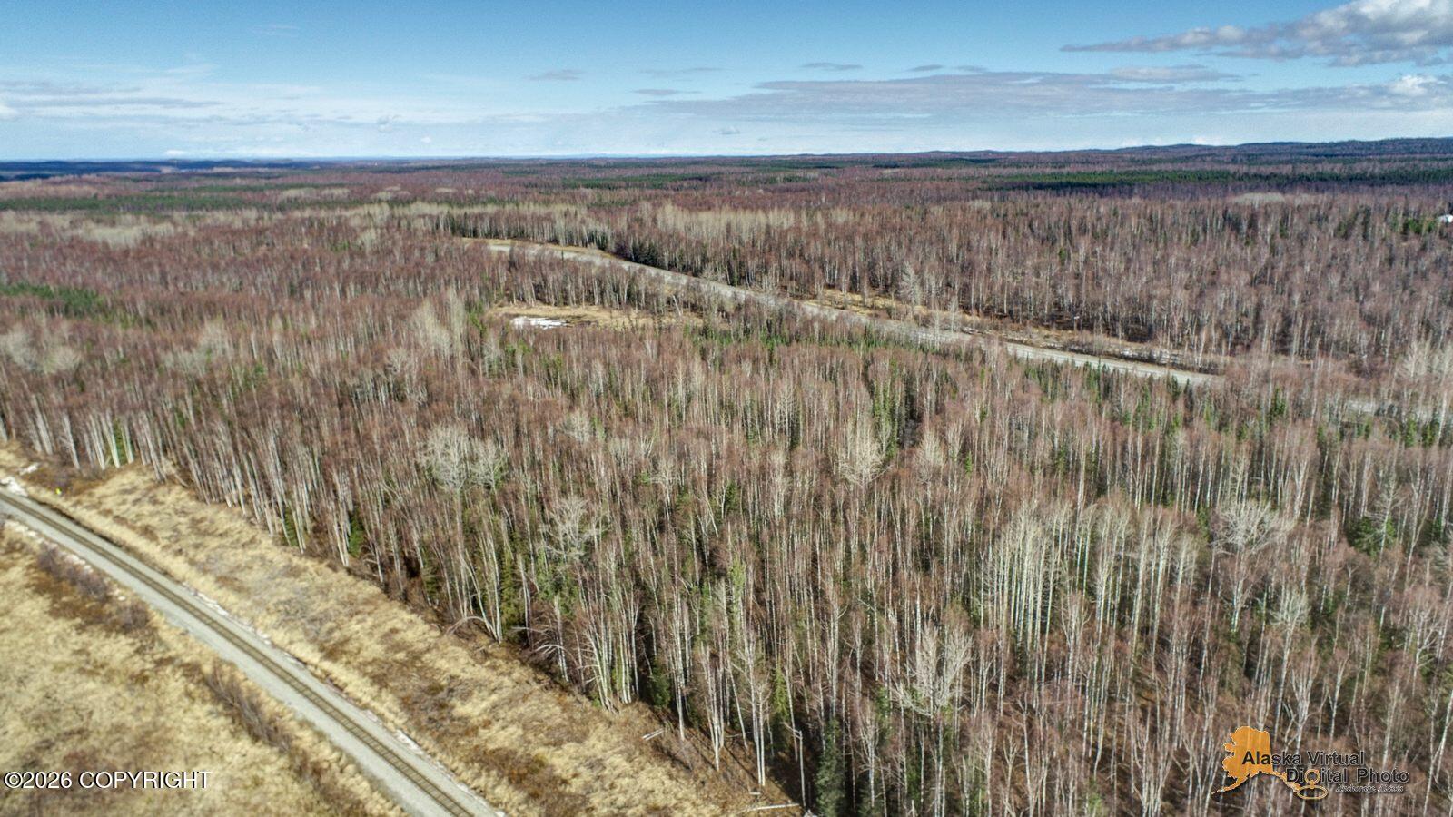A002 W Parks Highway Property Photo 8