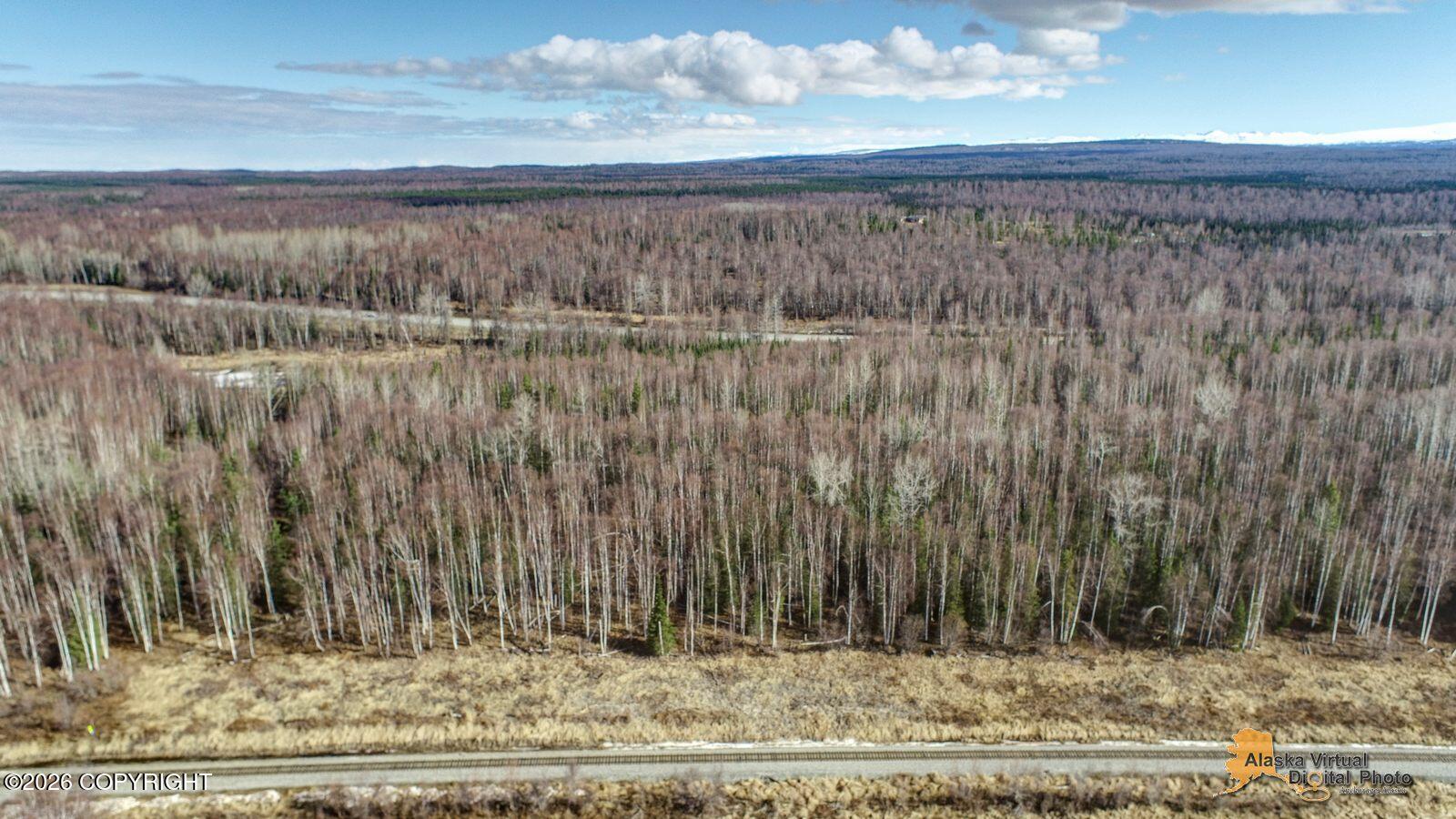 A002 W Parks Highway Property Photo 9