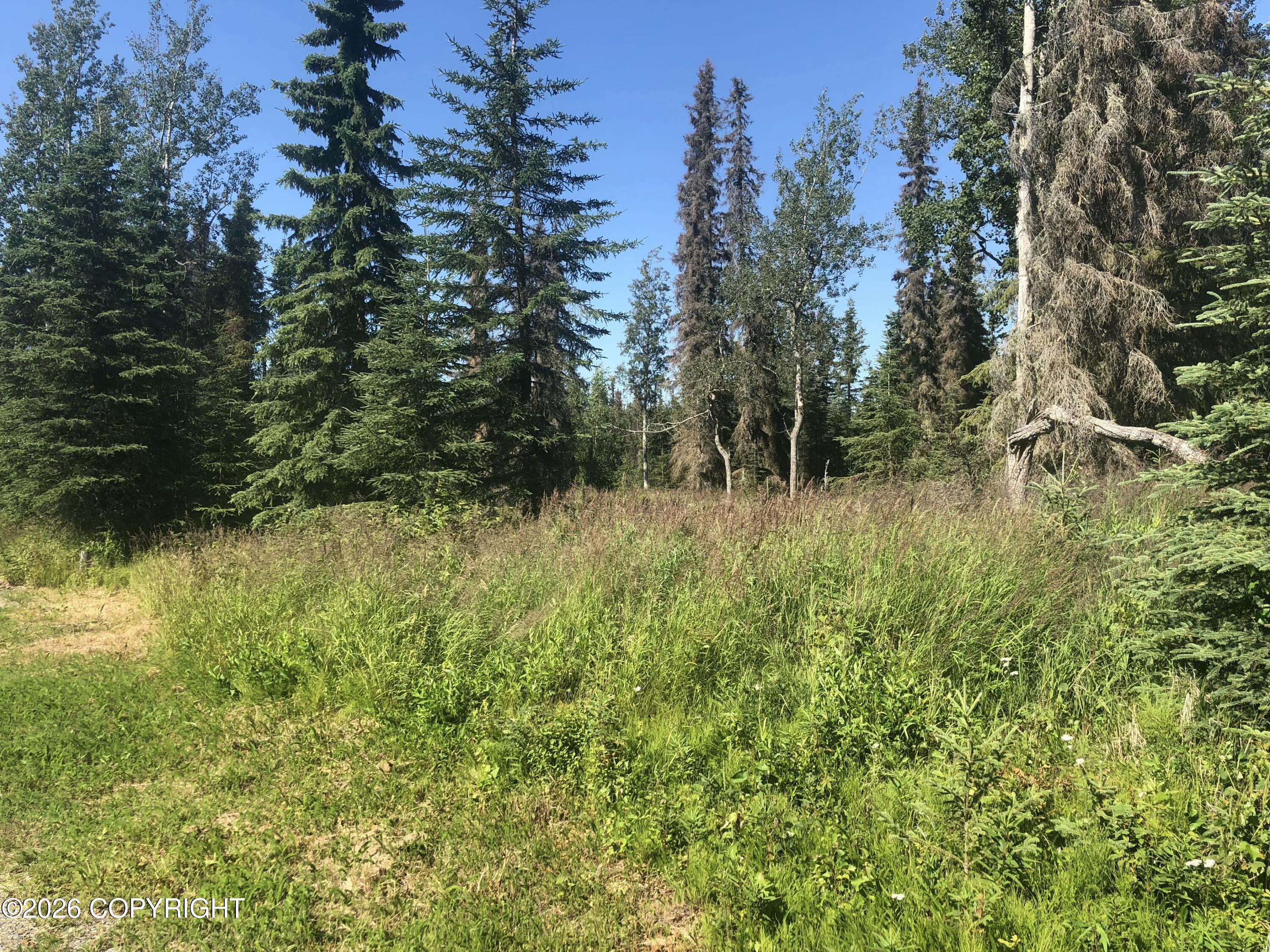 309 Highbush Lane Property Photo 11