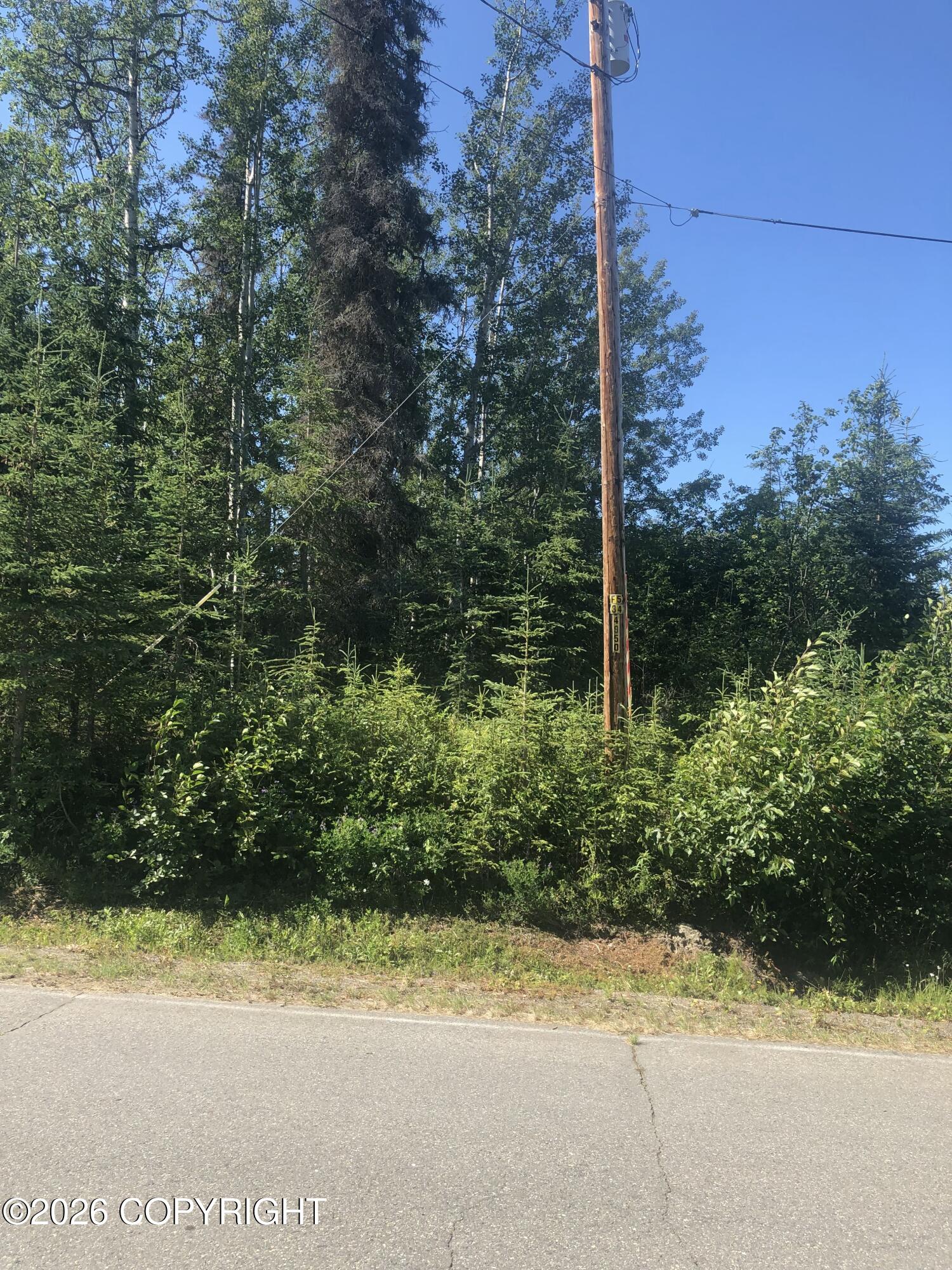 309 Highbush Lane Property Photo 13