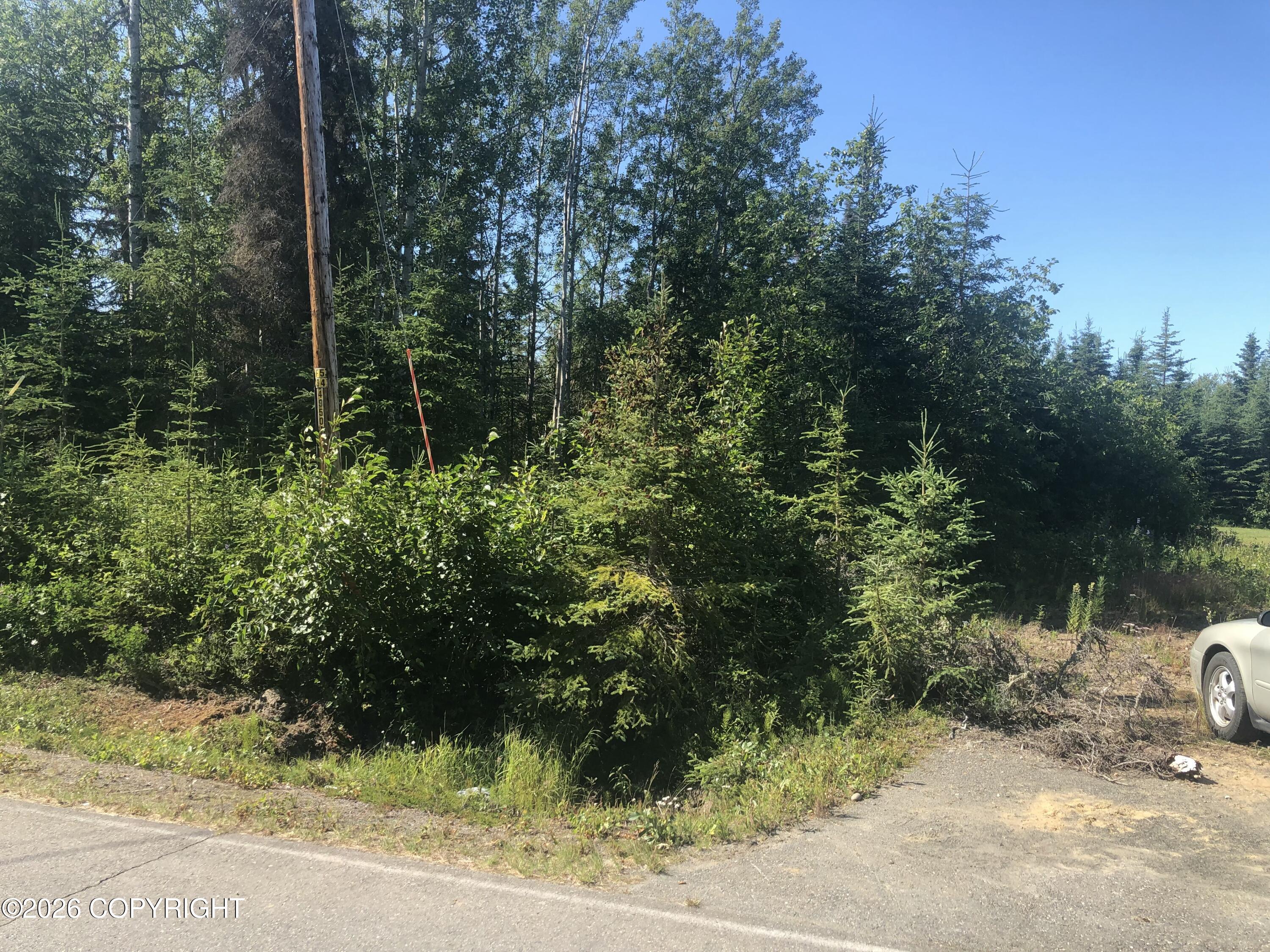 309 Highbush Lane Property Photo 15