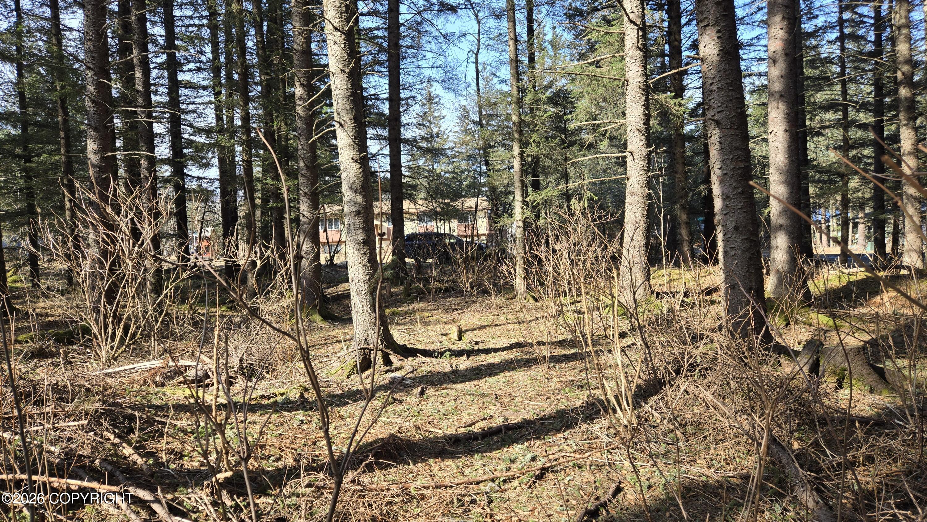 203 Benson Drive Property Photo 10