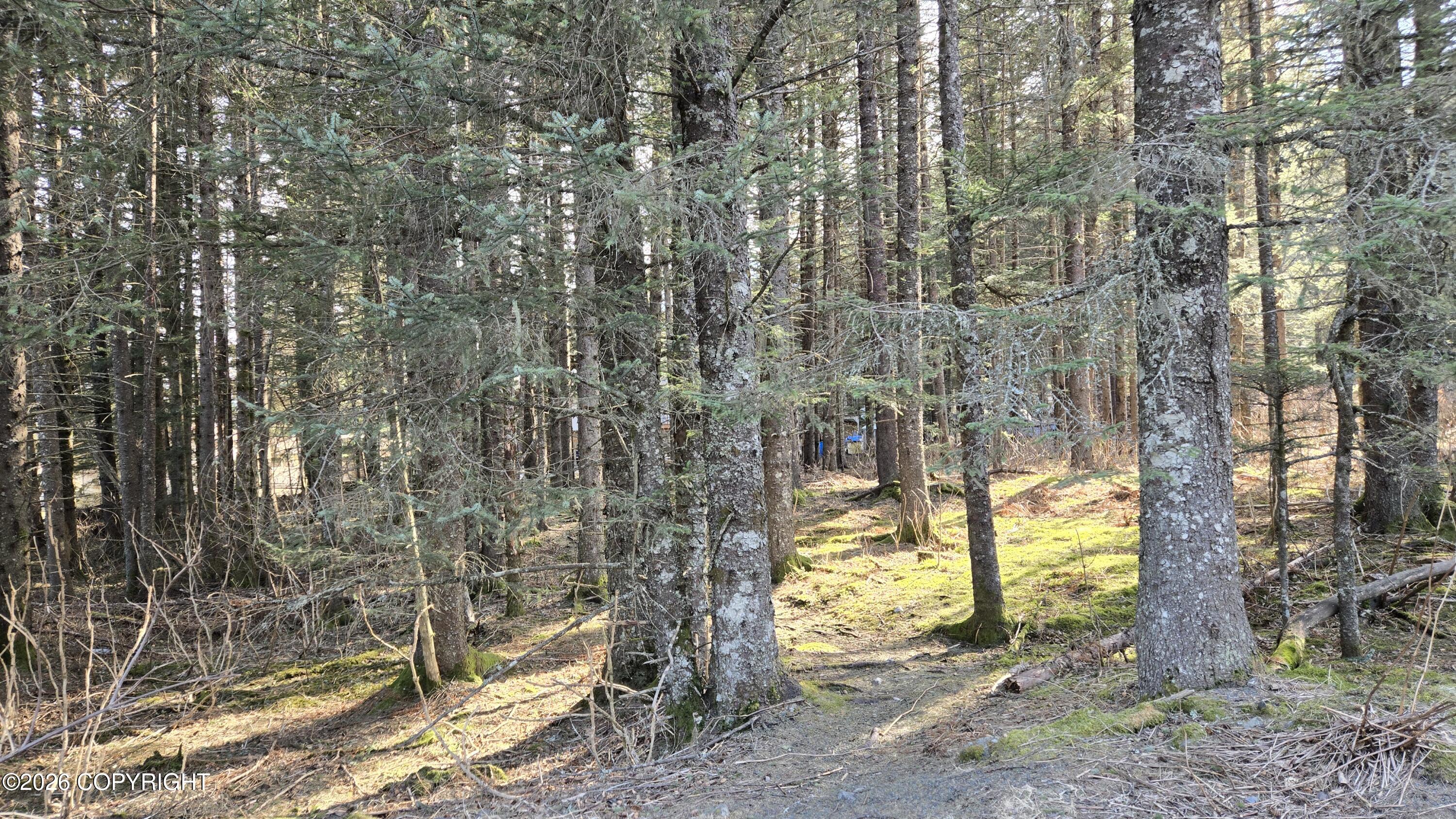 205 Benson Drive Property Photo 13
