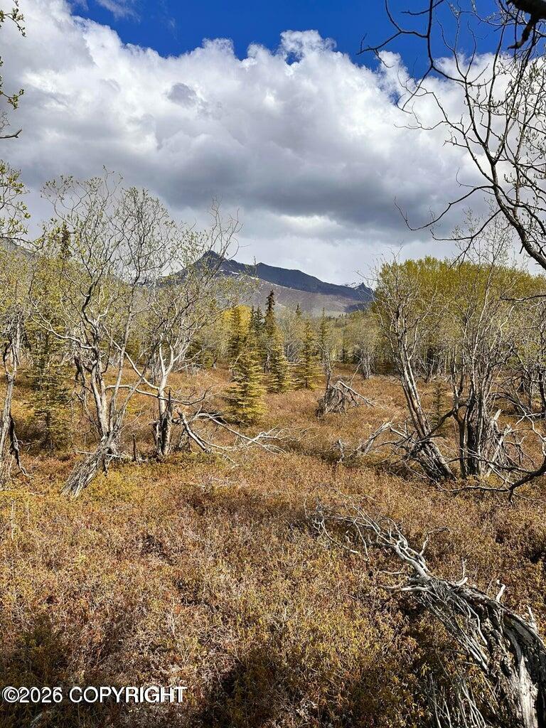 B005 S Packsaddle Road Property Photo 3
