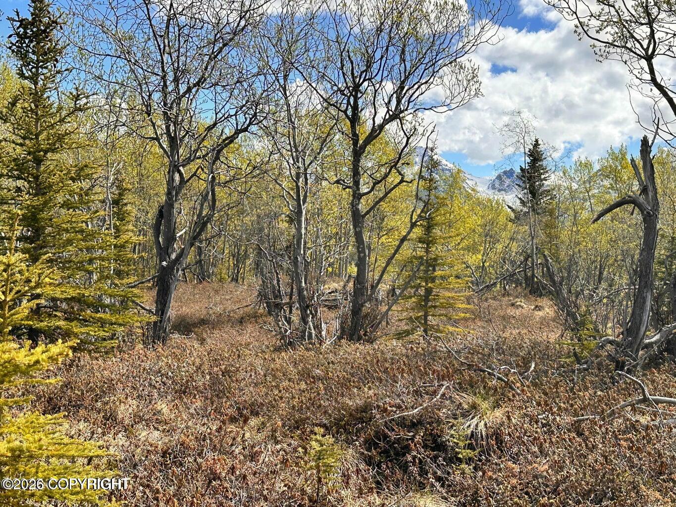 B005 S Packsaddle Road Property Photo 4