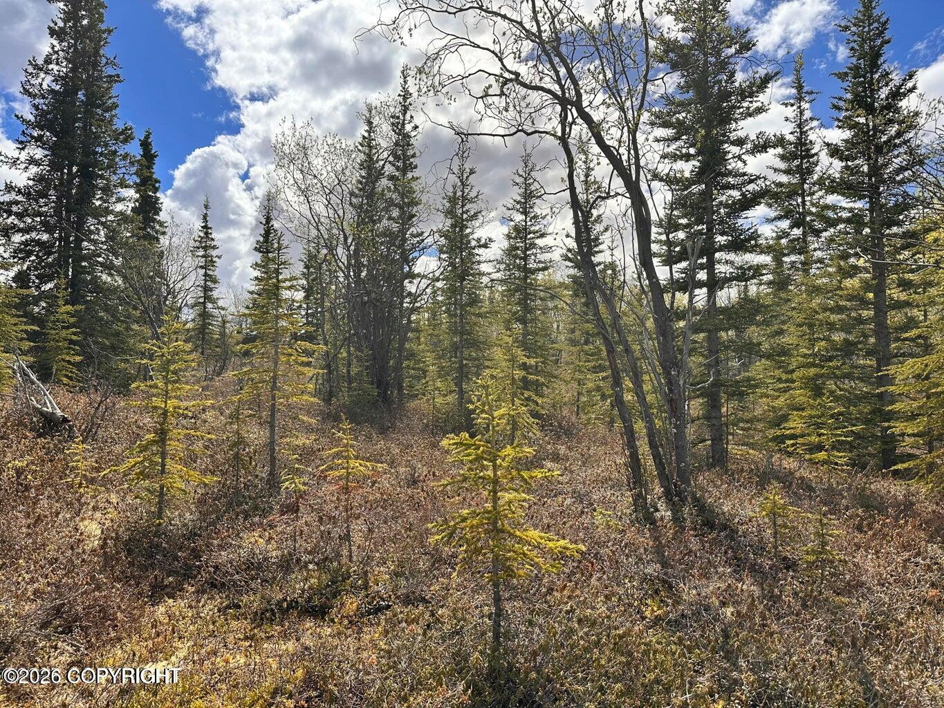 B005 S Packsaddle Road Property Photo 7