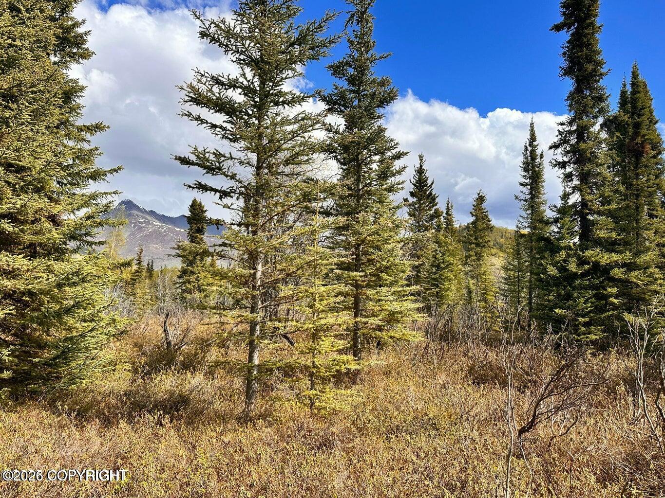 B005 S Packsaddle Road Property Photo 11