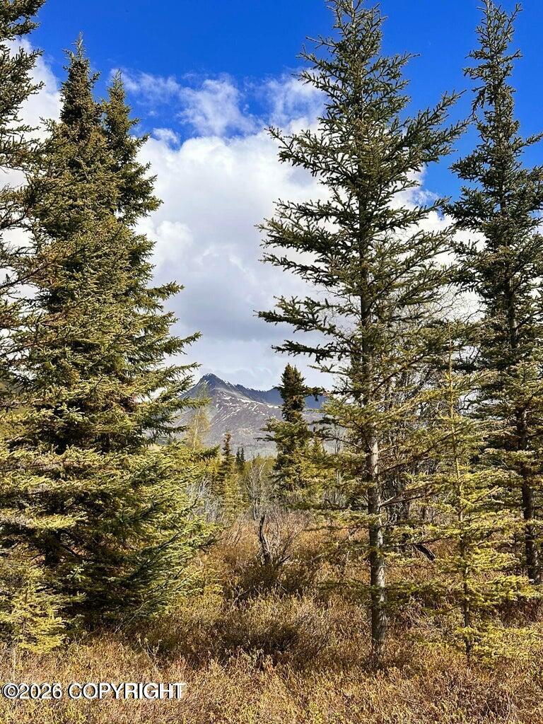 B005 S Packsaddle Road Property Photo 12