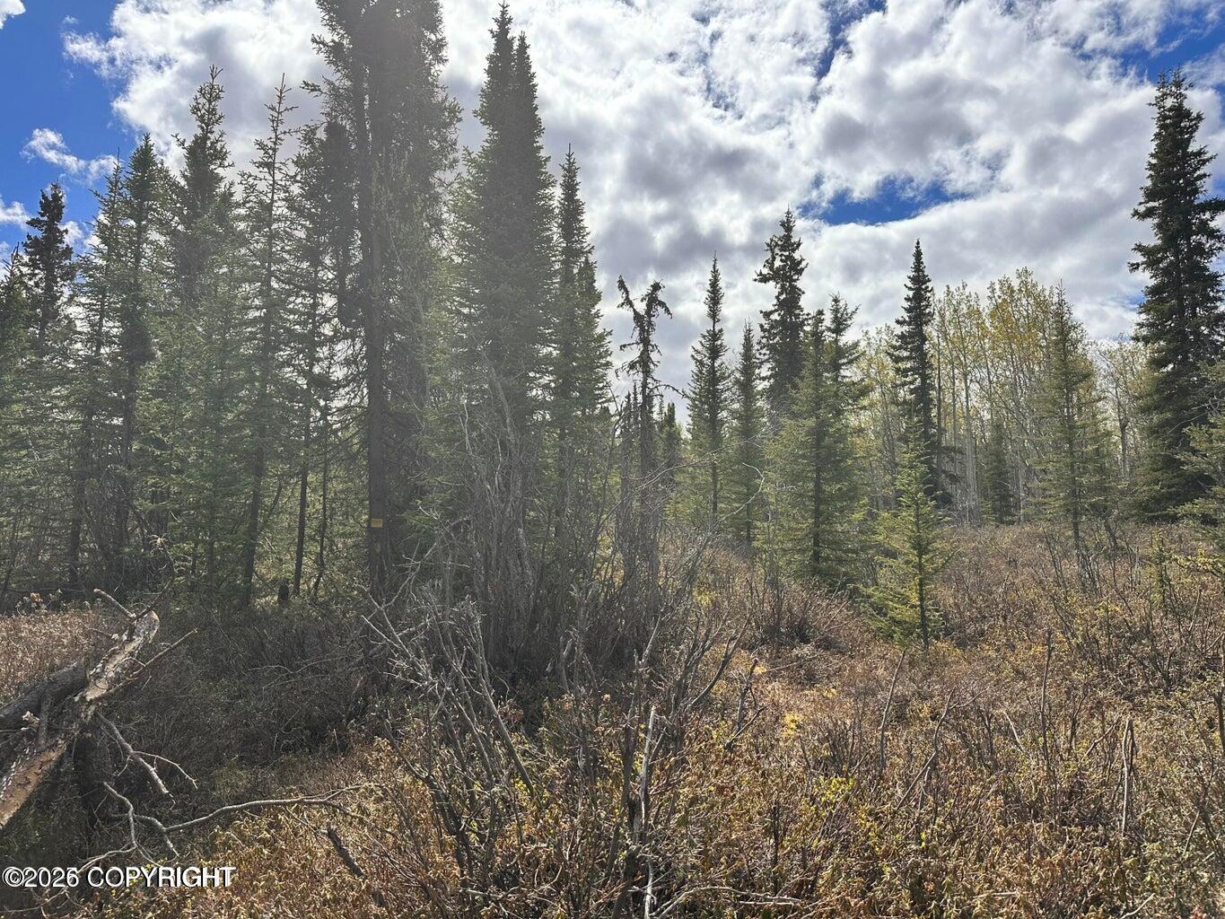 B005 S Packsaddle Road Property Photo 13