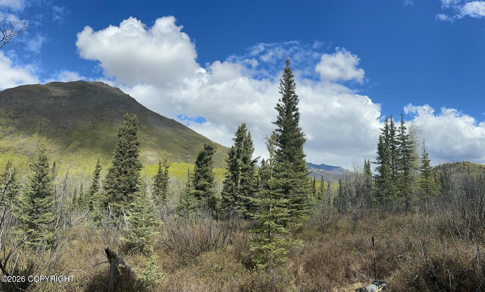 B005 S Packsaddle Road Property Photo 14