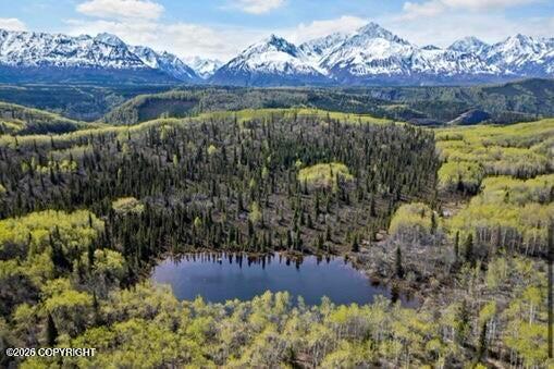 B005 S Packsaddle Road Property Photo 24