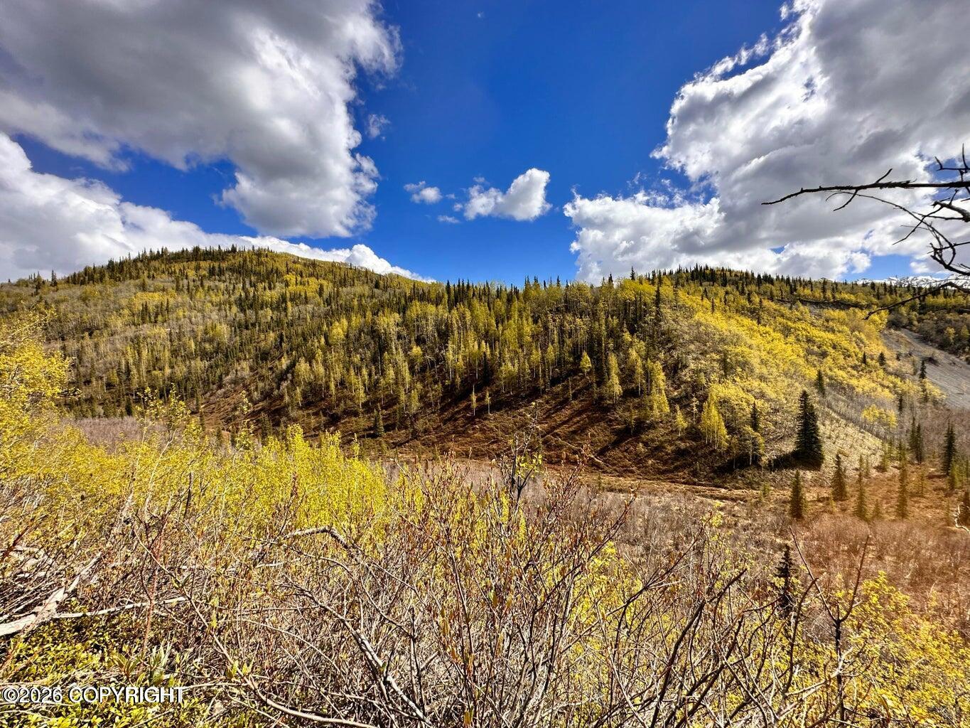 B005 S Packsaddle Road Property Photo 26