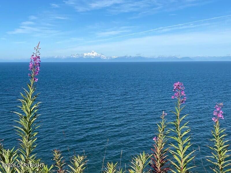 20935 Sterling Highway Property Photo 4