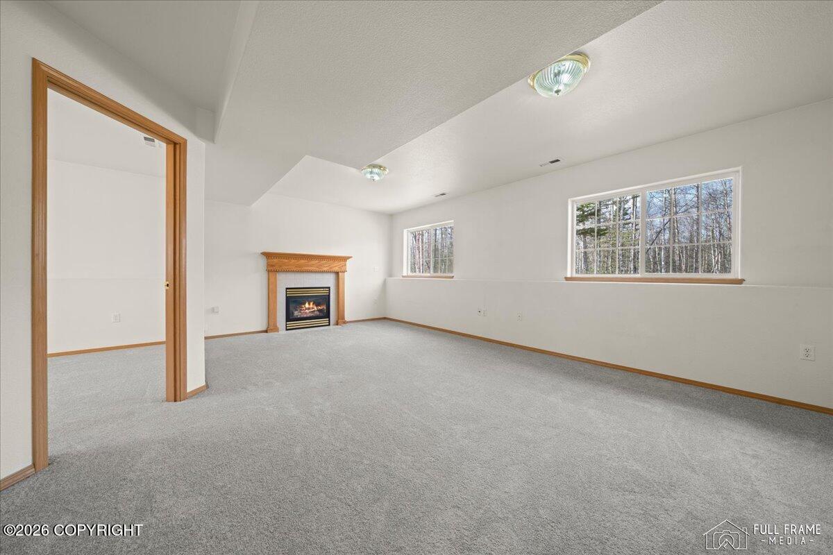4299 N Wasilla Fishhook Road Property Photo 17
