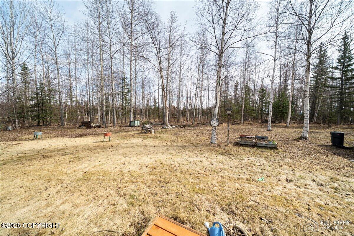 4299 N Wasilla Fishhook Road Property Photo 42