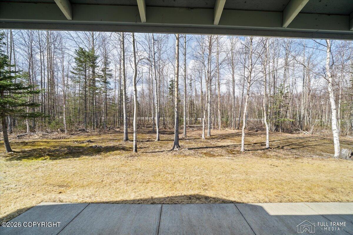 4299 N Wasilla Fishhook Road Property Photo 45
