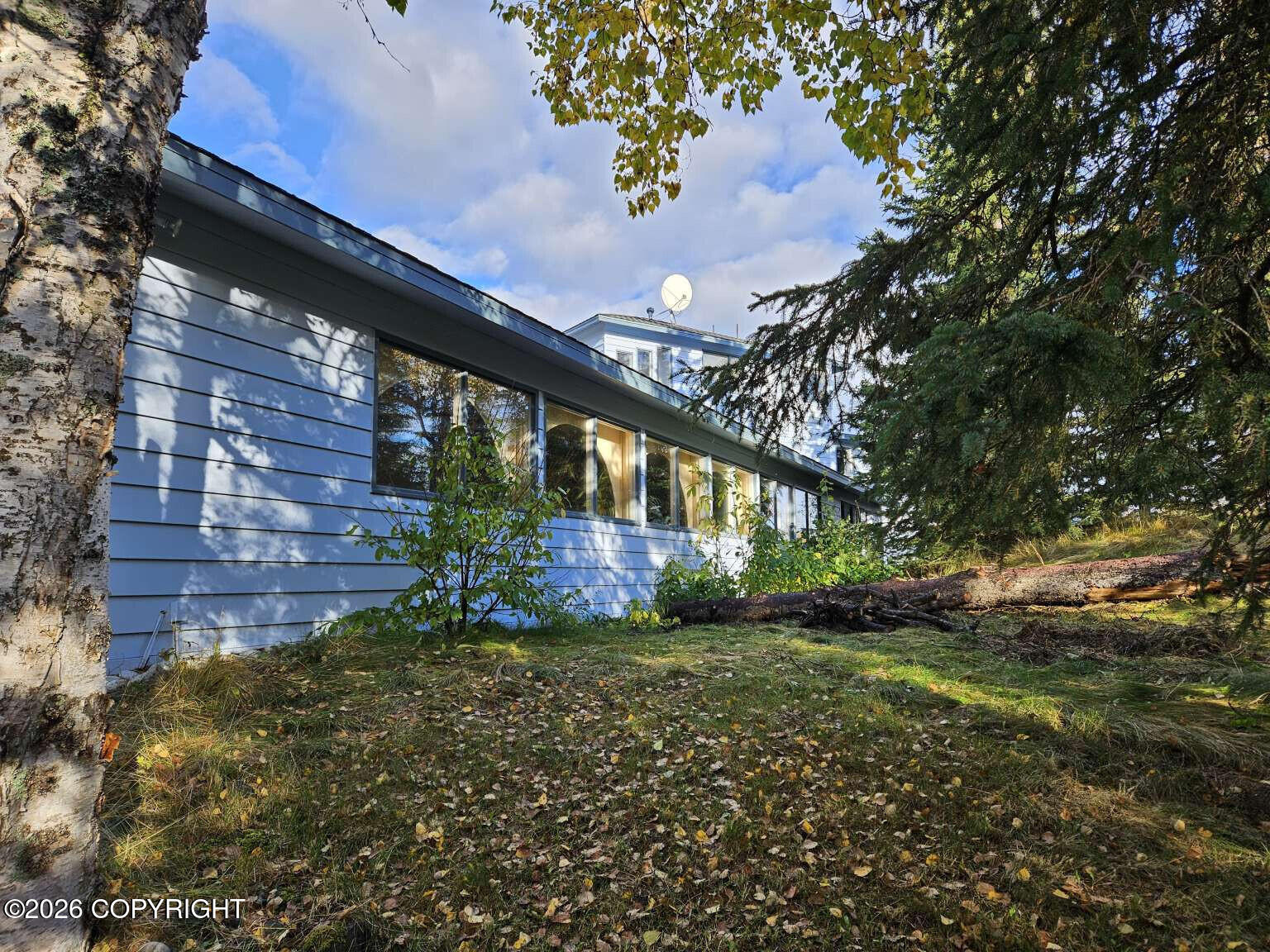 10501 Treeline Court Property Photo 6
