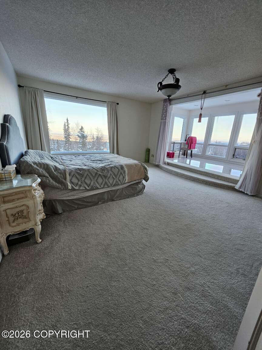 10501 Treeline Court Property Photo 34