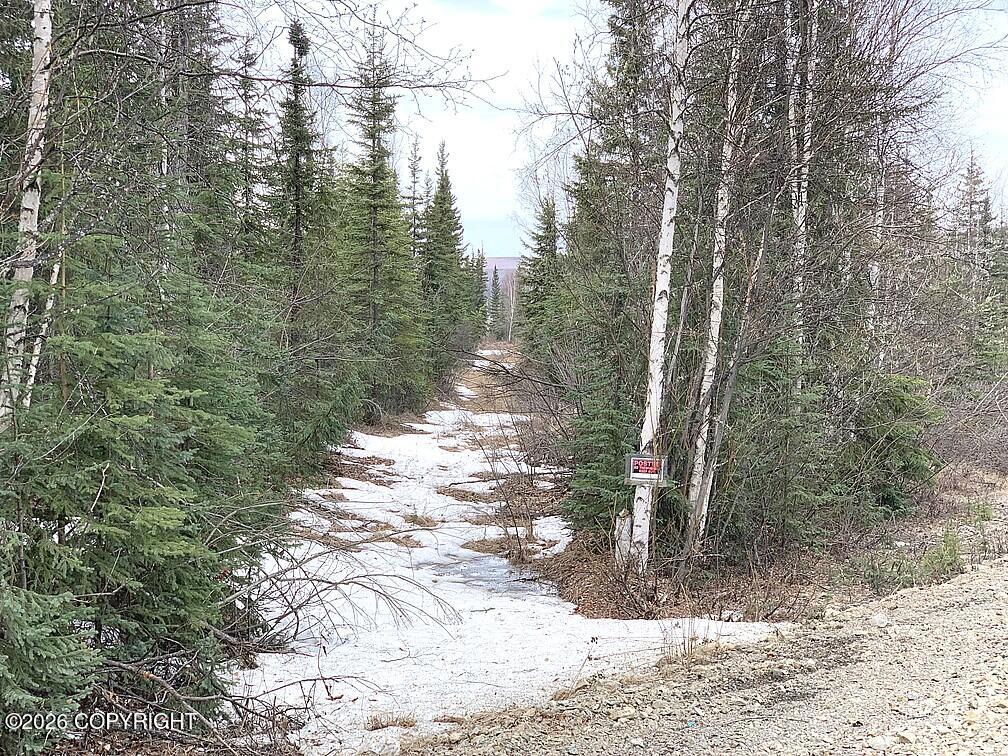 1731 N Old Steese Highway Property Photo 13