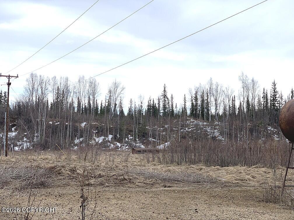1731 N Old Steese Highway Property Photo 17