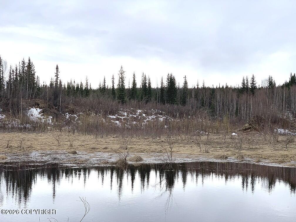 1731 N Old Steese Highway Property Photo 19
